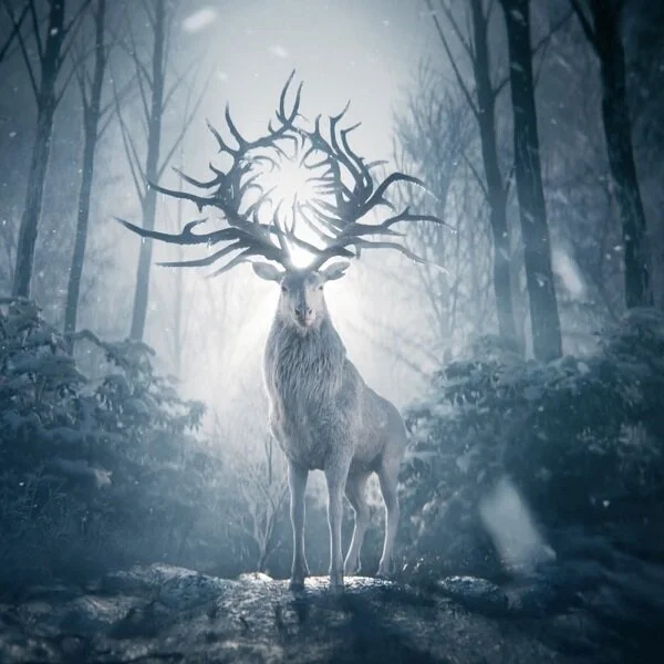 Shadow and Bone and Portrayals of Racism