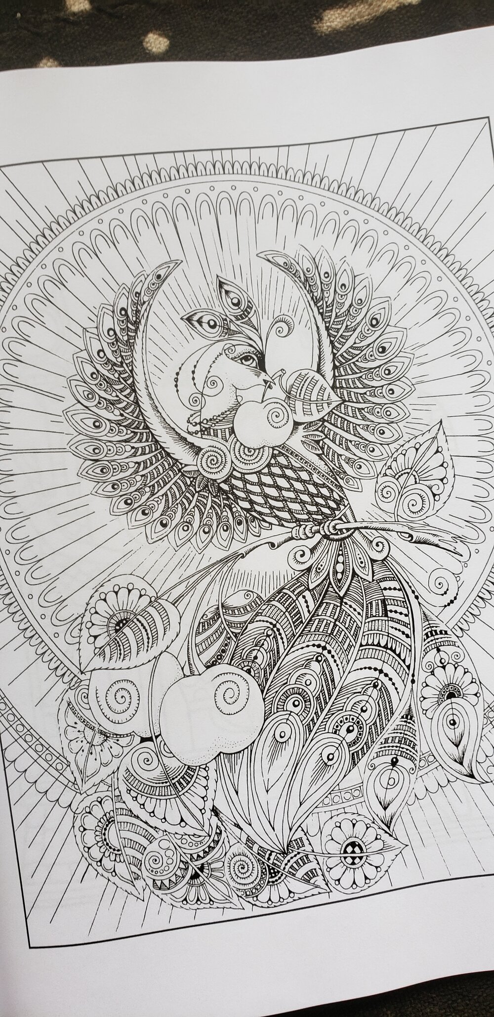 Download Ancient Egyptian Coloring Book For Adults A Stress Relief Coloring Book With Egyptian God Goddess Mythology And Many More For Relaxations Mahogany Gallery