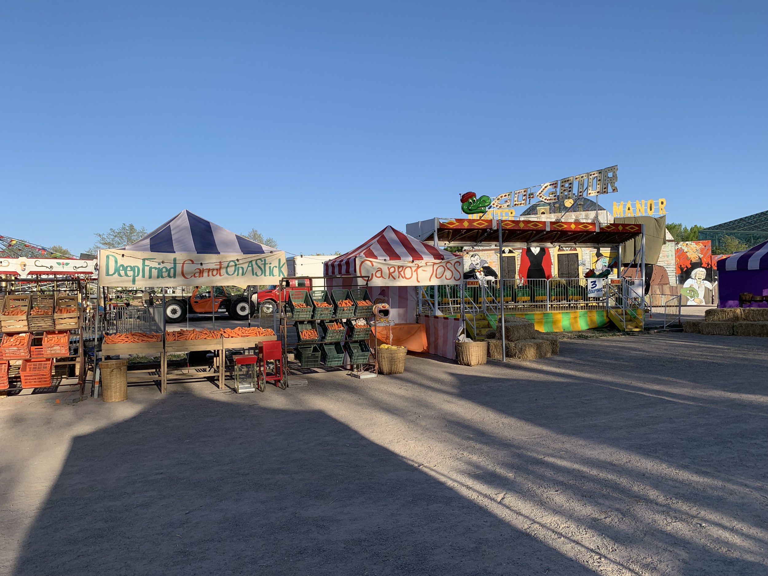 Ext. Carrot Festival