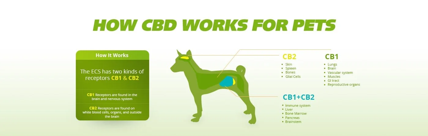 hempworx for dogs