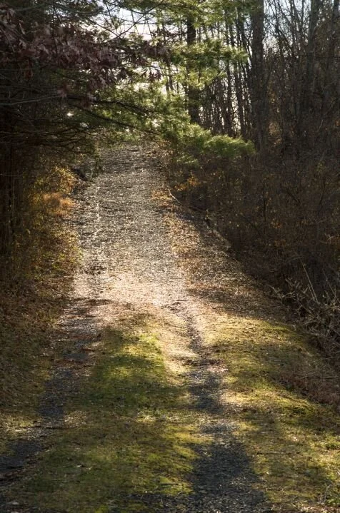 7403_lighted path_screenshot_submit.JPG