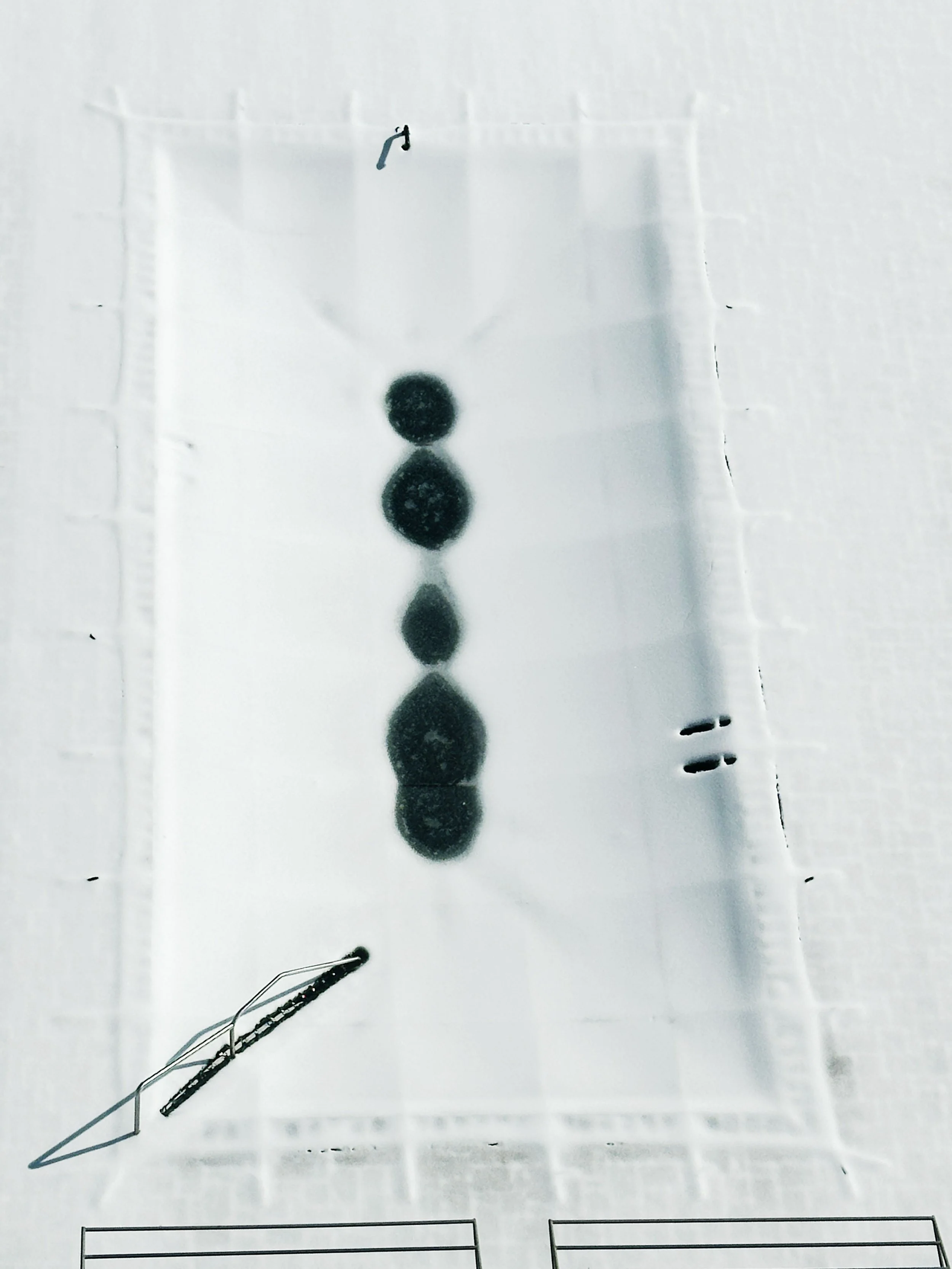 8293_Pool with inner pattern_to use.jpg