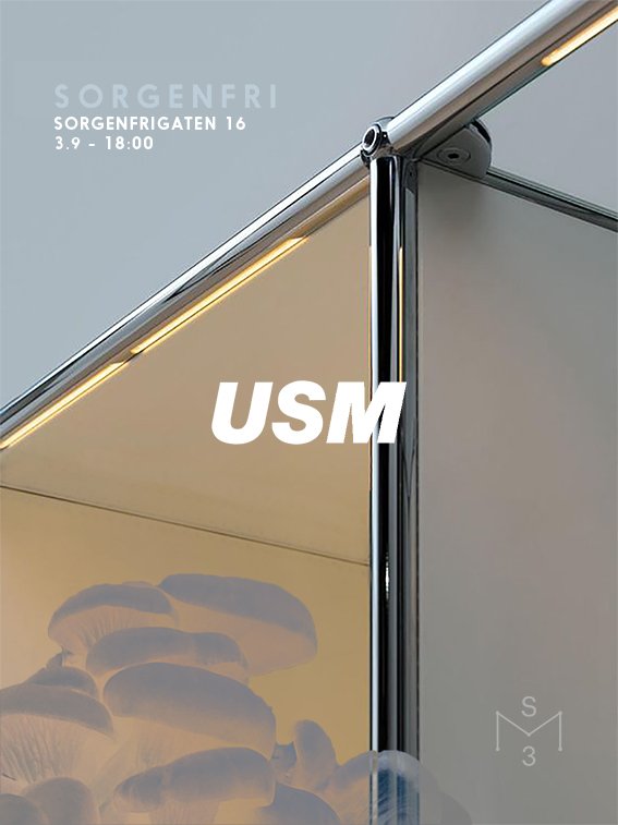 usm.jpg