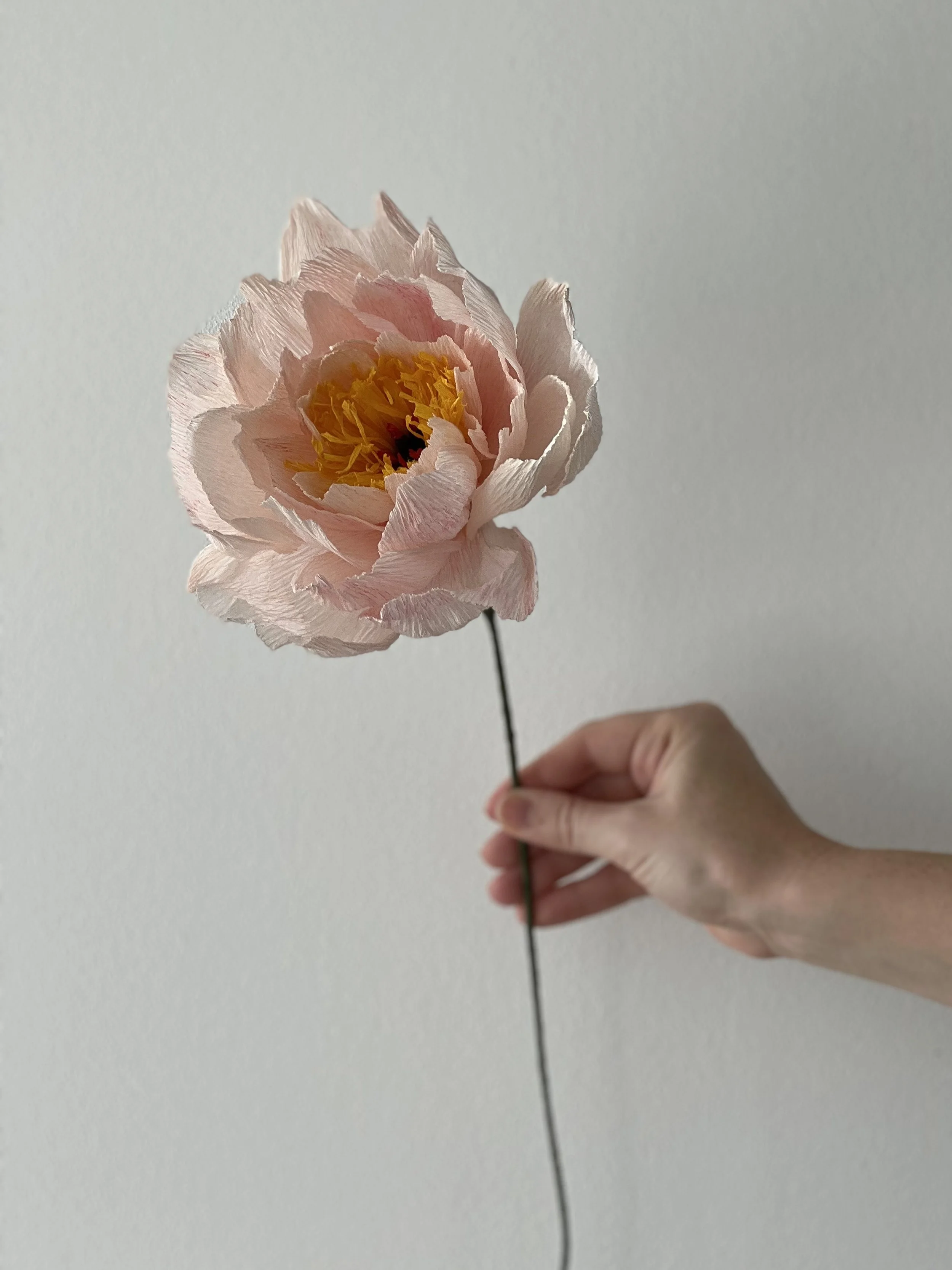 BLOMST SAKS PAPIR | Paper flowers