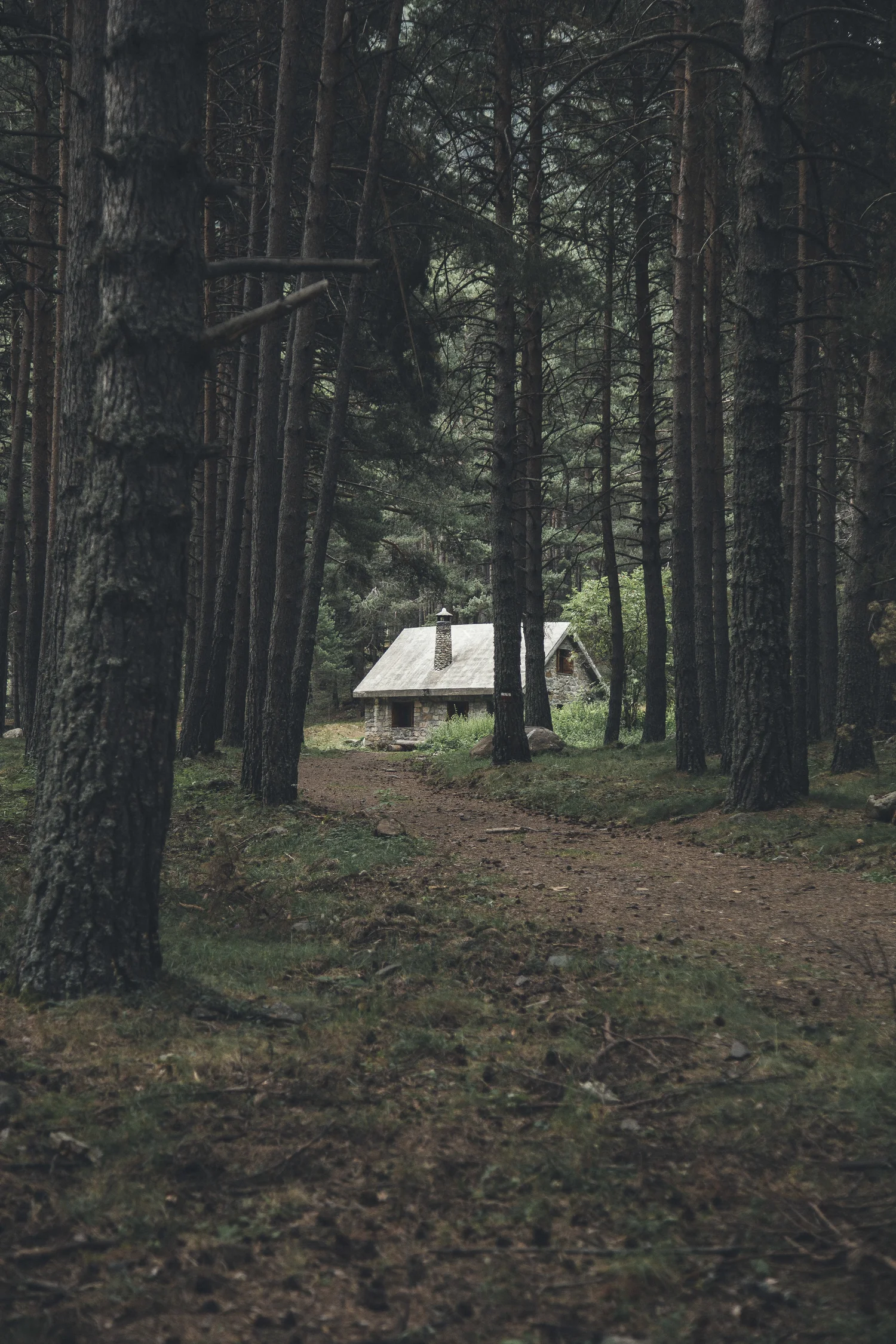 portable buildings finished for living on Ne Ga Sheds Tiny Homes