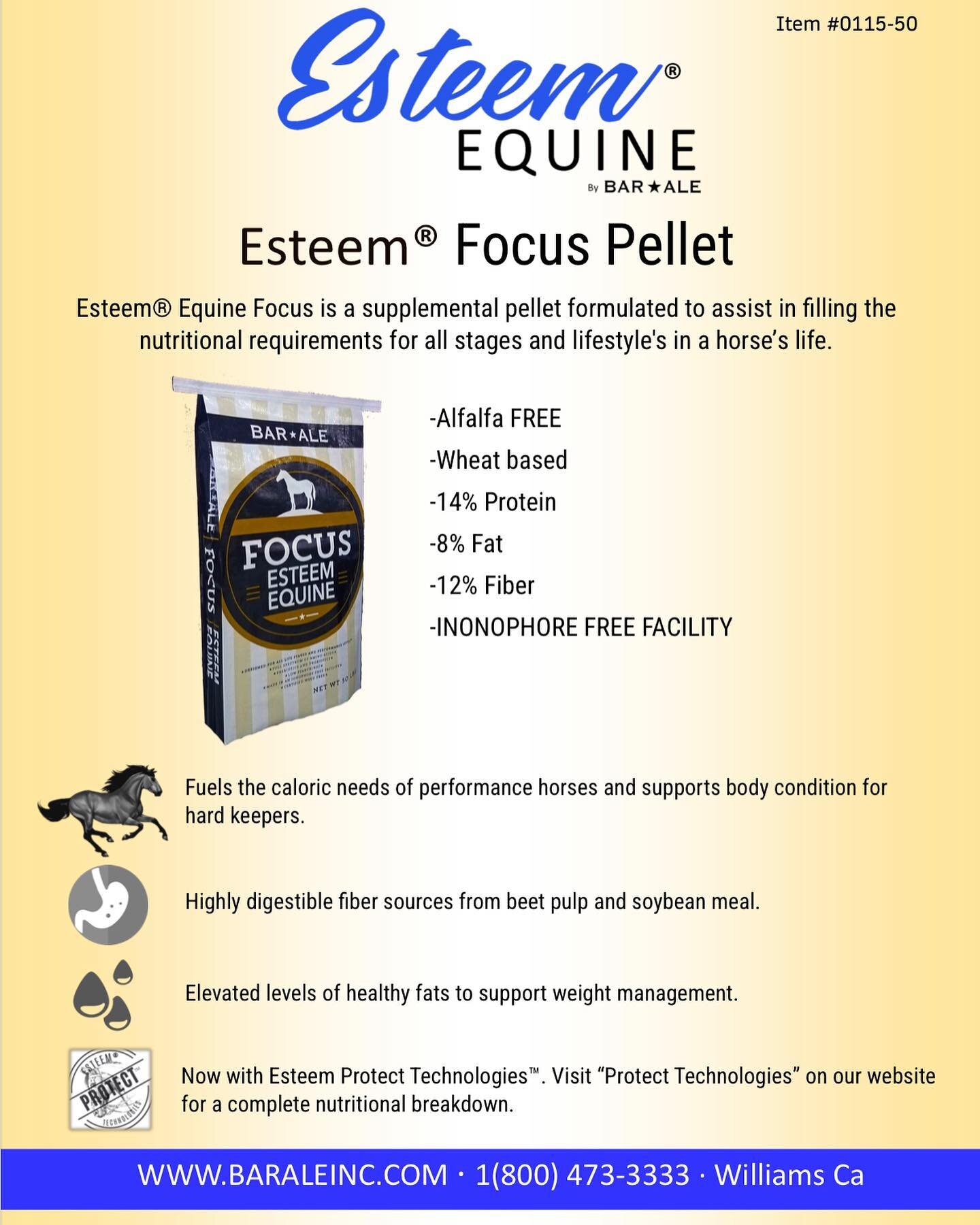 Esteem&reg; Equine Focus.
Whether or not you have access to forage, your performance horse needs an additional energy replenishment, or you have a horse that won&rsquo;t keep weight on; This ALFALFA FREE, highly digestible supplemental pellet is what