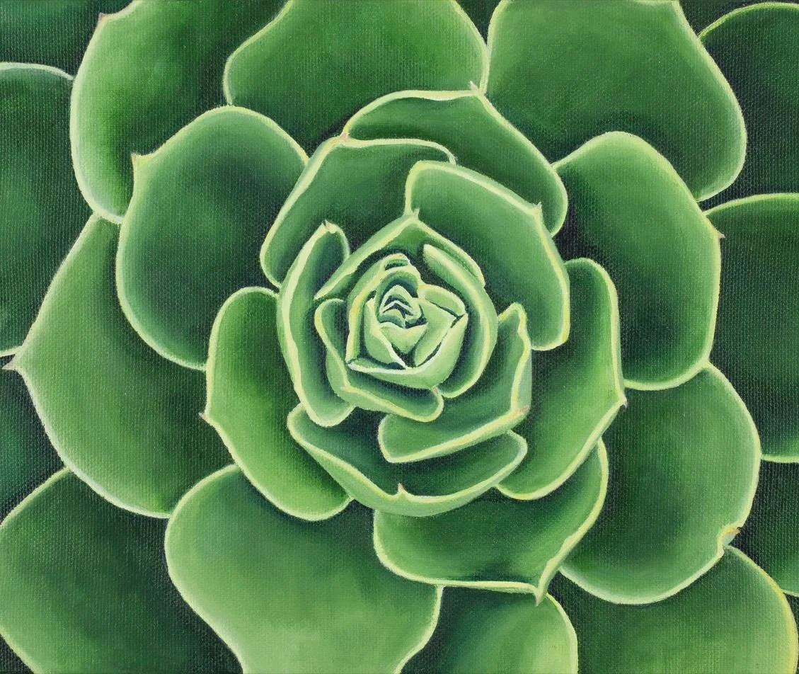 2025_SarahArm_Green Succulent_square.JPG