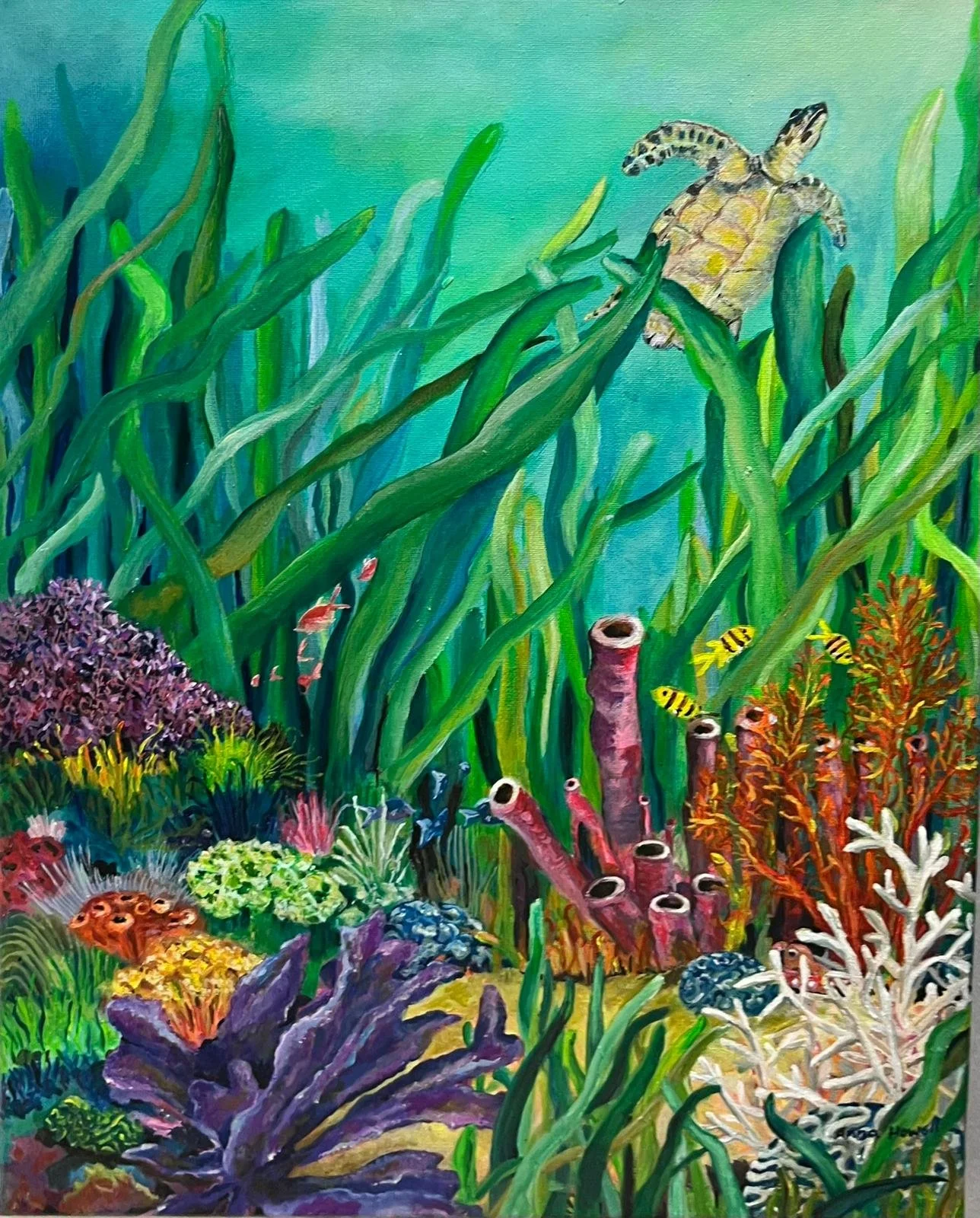 See The SeaCat In The Sea - Anna Howell.jpg