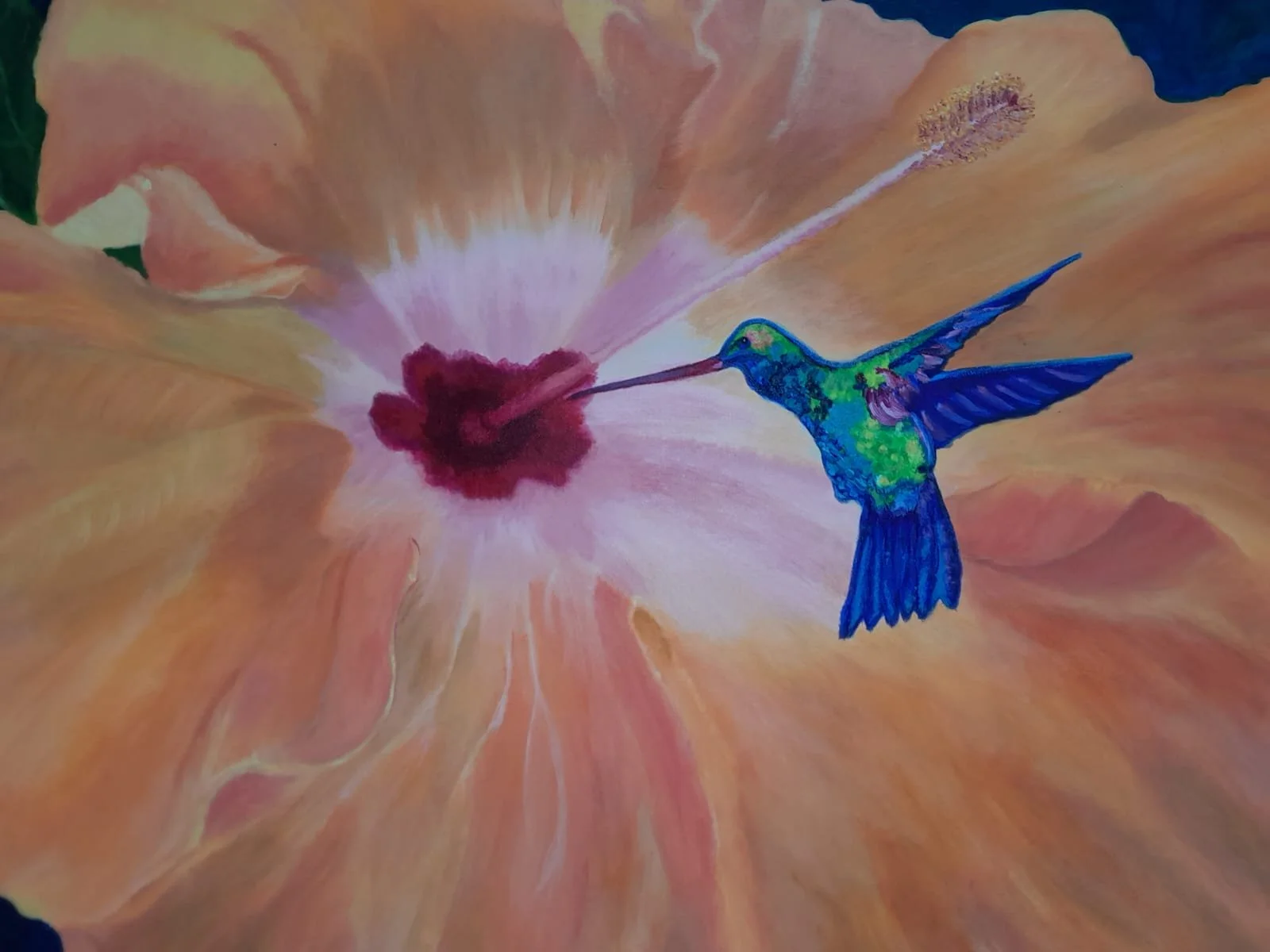 Photo from Julie - Anne King - Julie-anne King.jpg