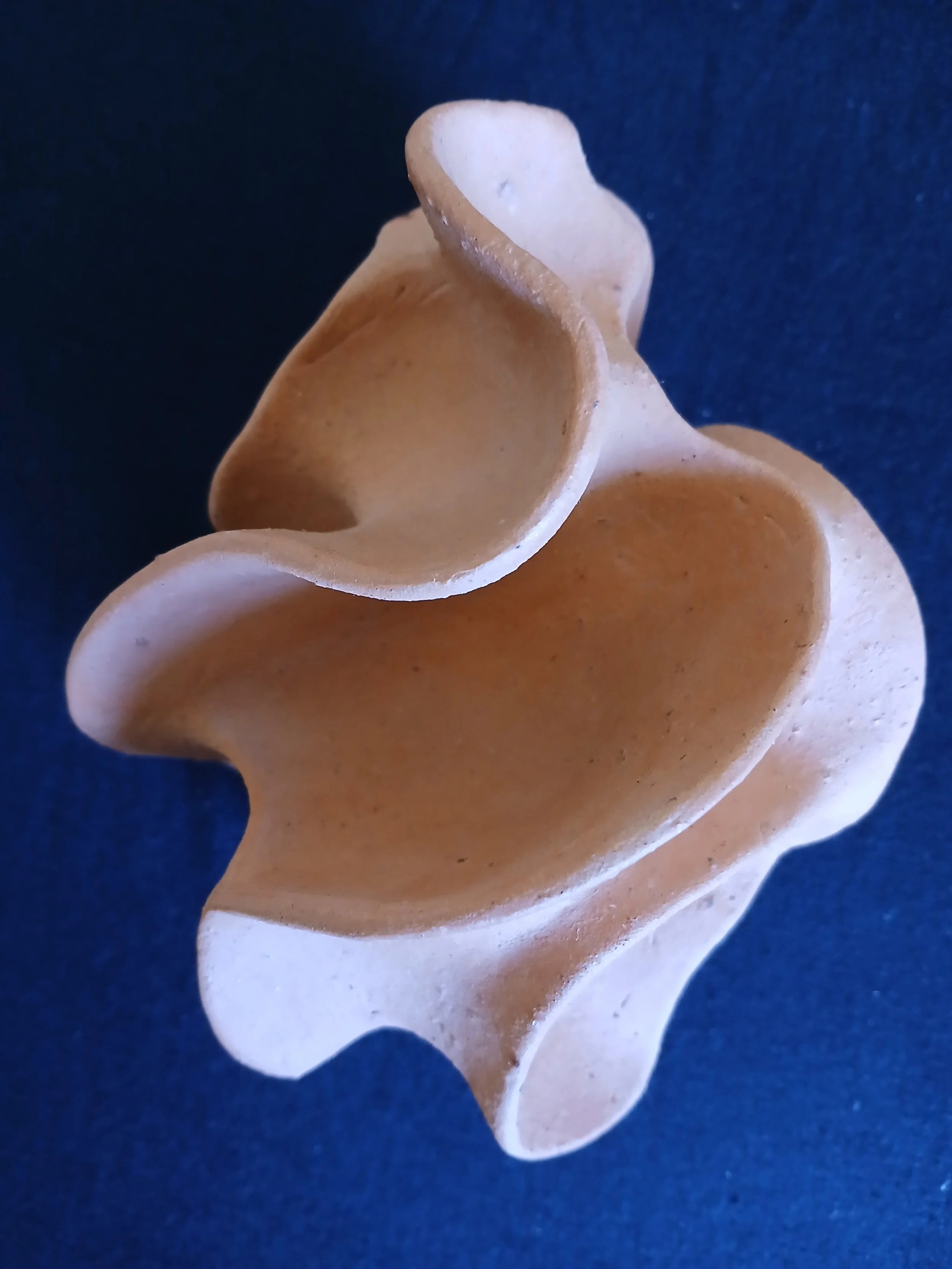 20250915_132345 Gail Riley.jpg