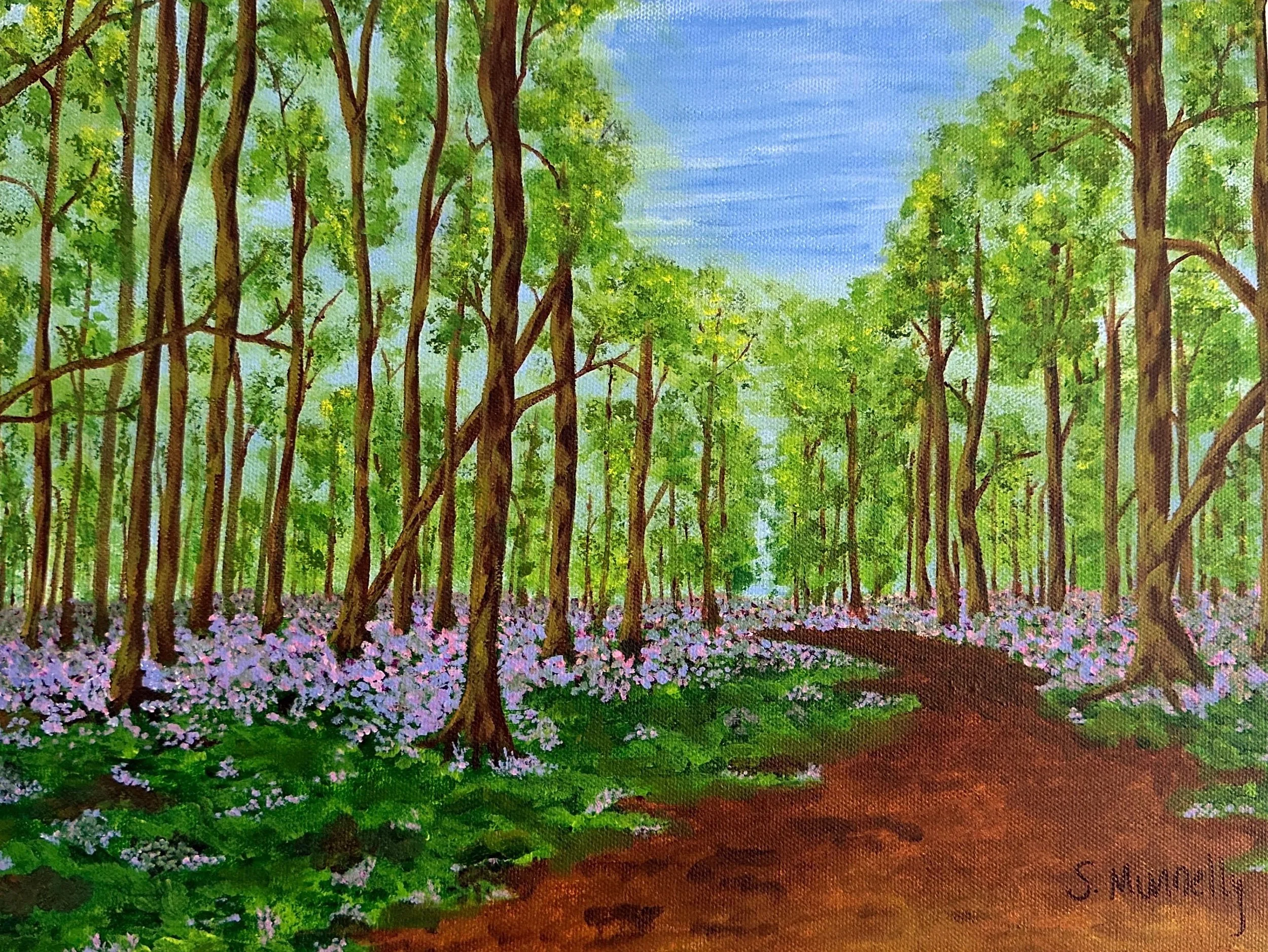 Bluebells in Lough Key - Shannon Munnelly (2).jpg