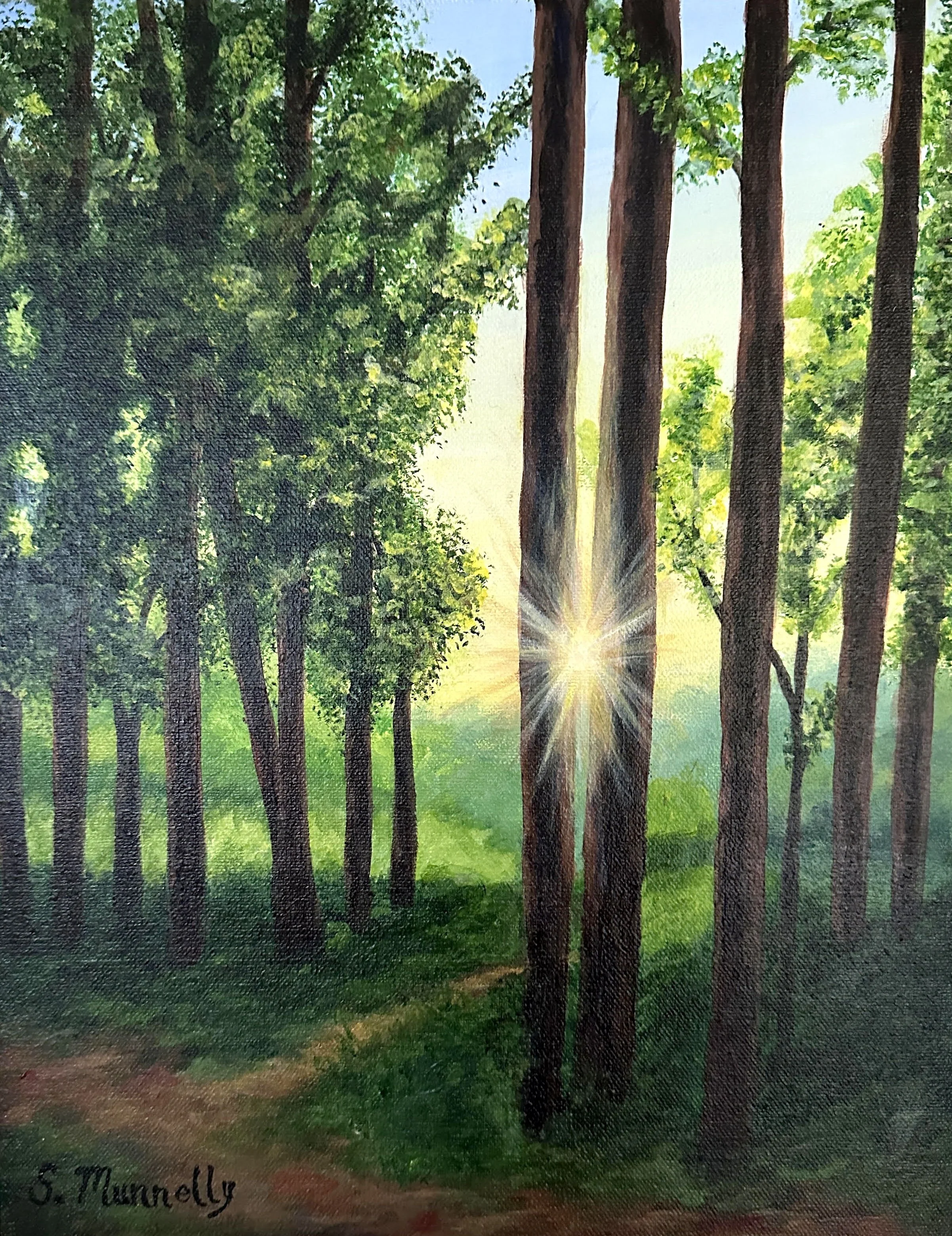 Sun through trees - Shannon Munnelly (2).jpg