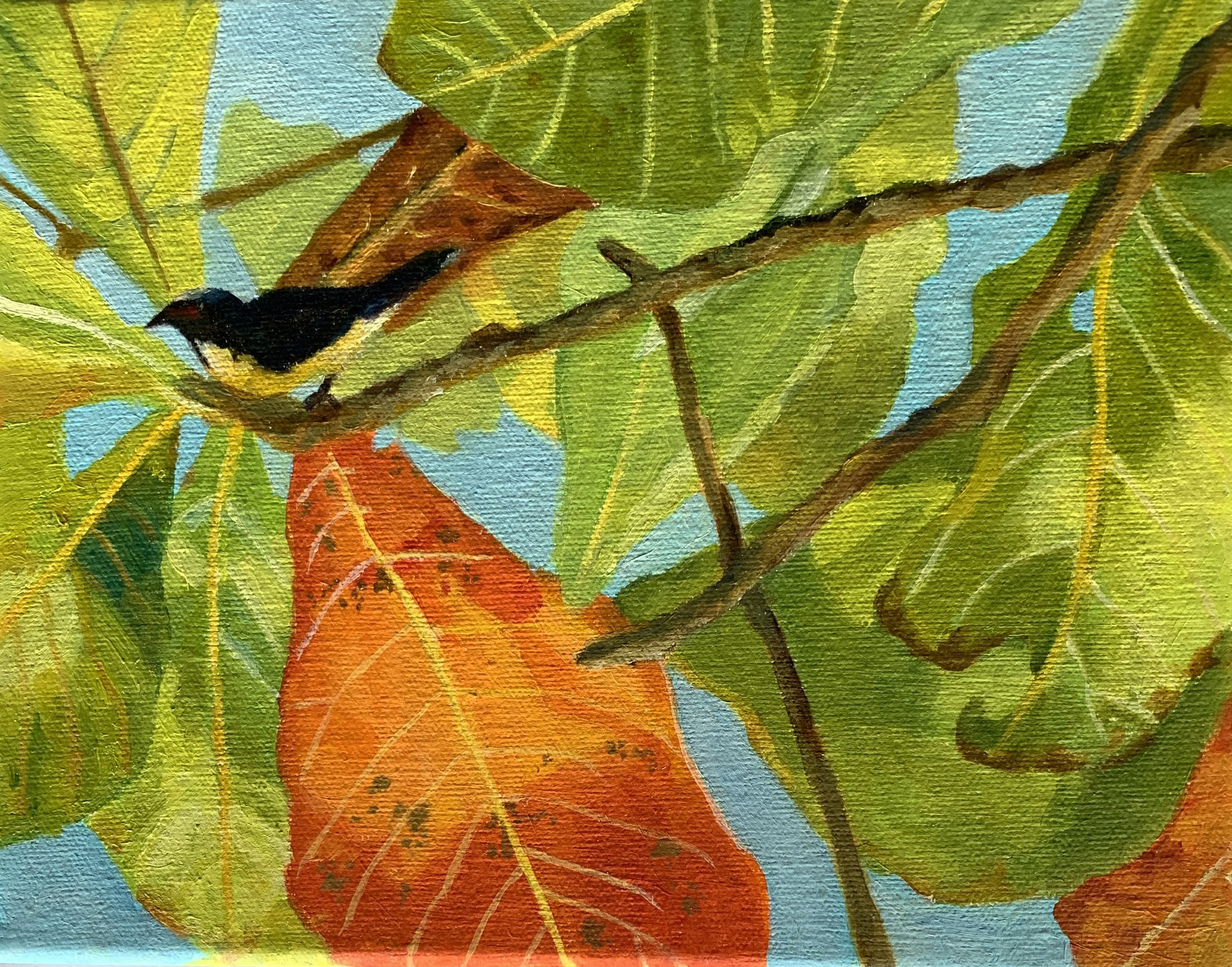 YELLOW BREAST IN ALMOND TREE - Kay Morgan.jpg