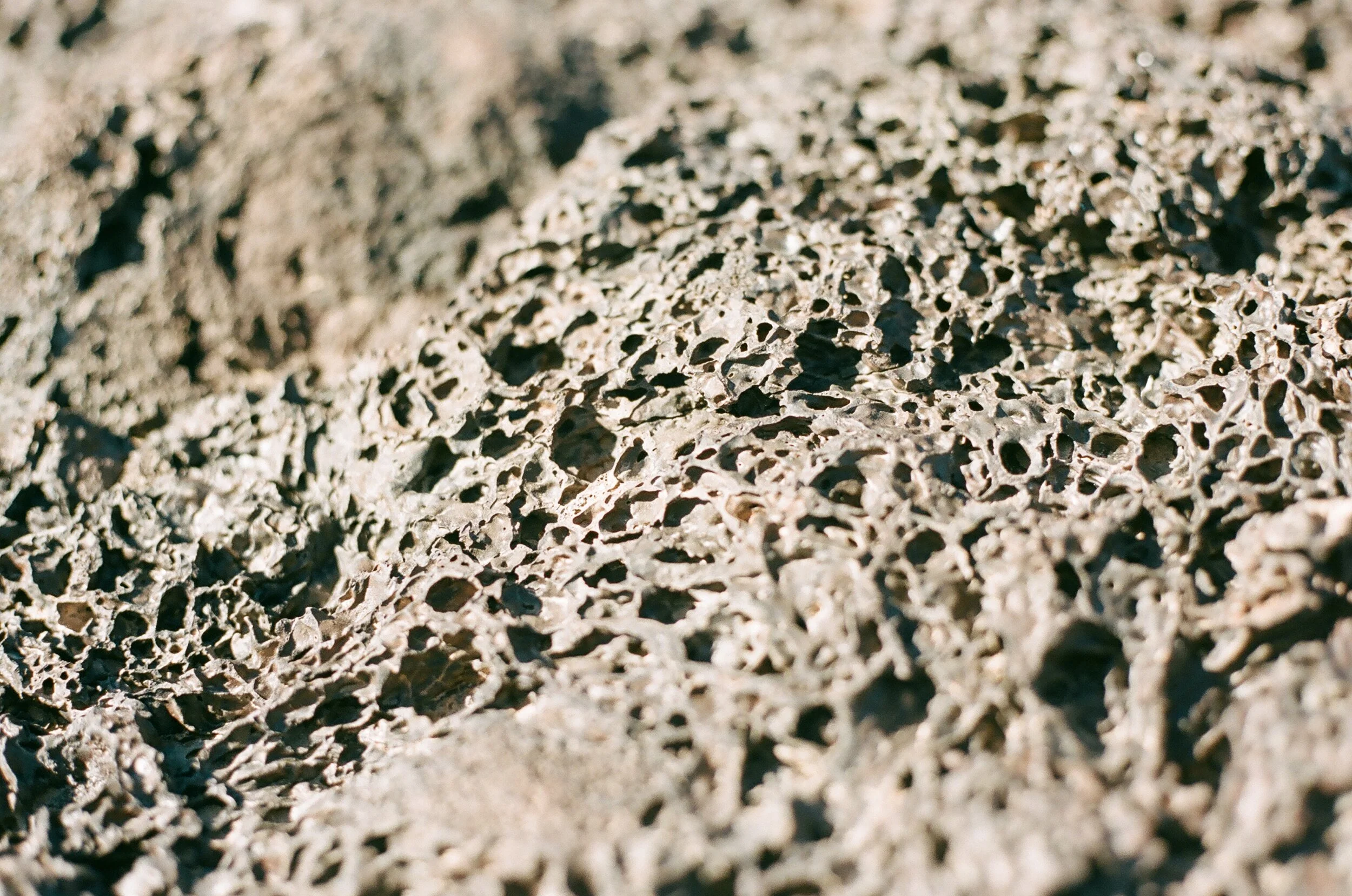 58770015.JPG