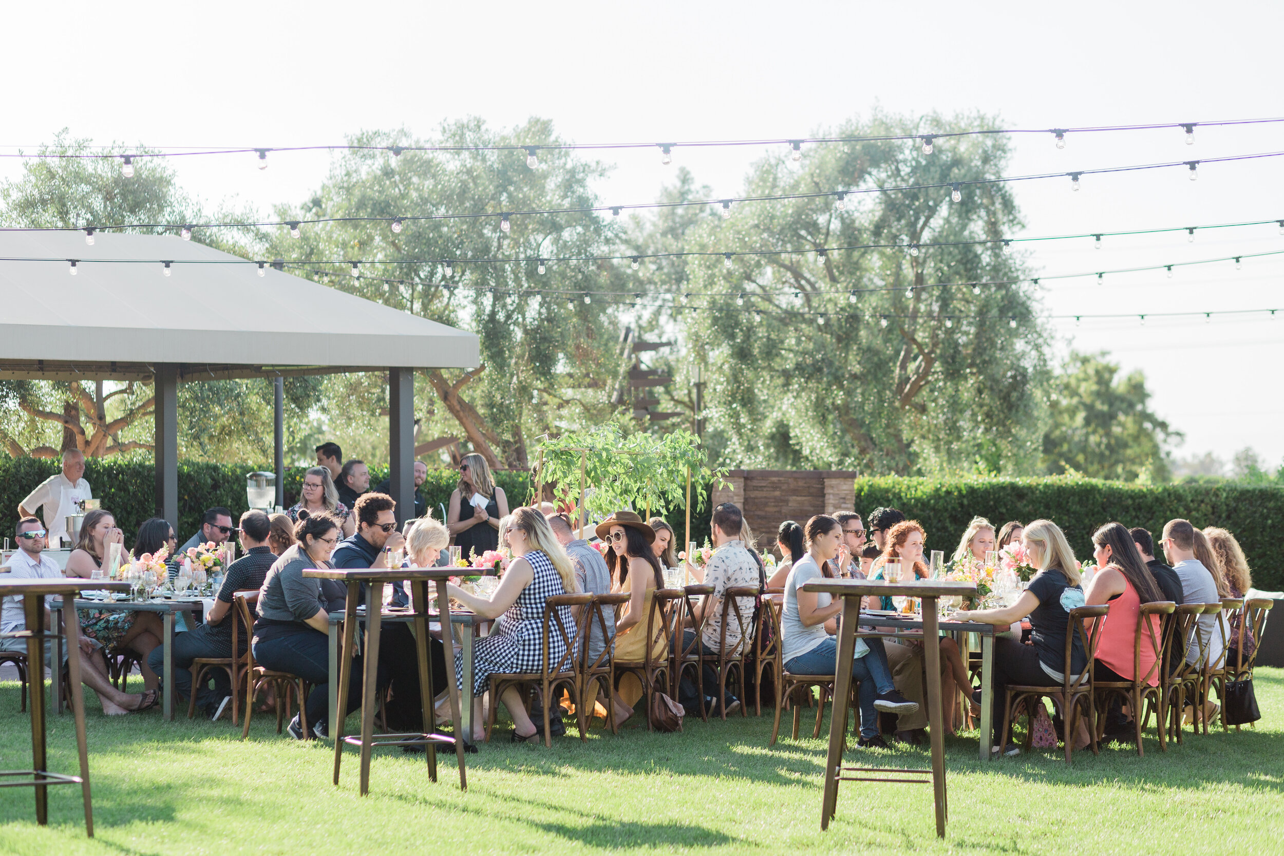 outdoor seated dinner event