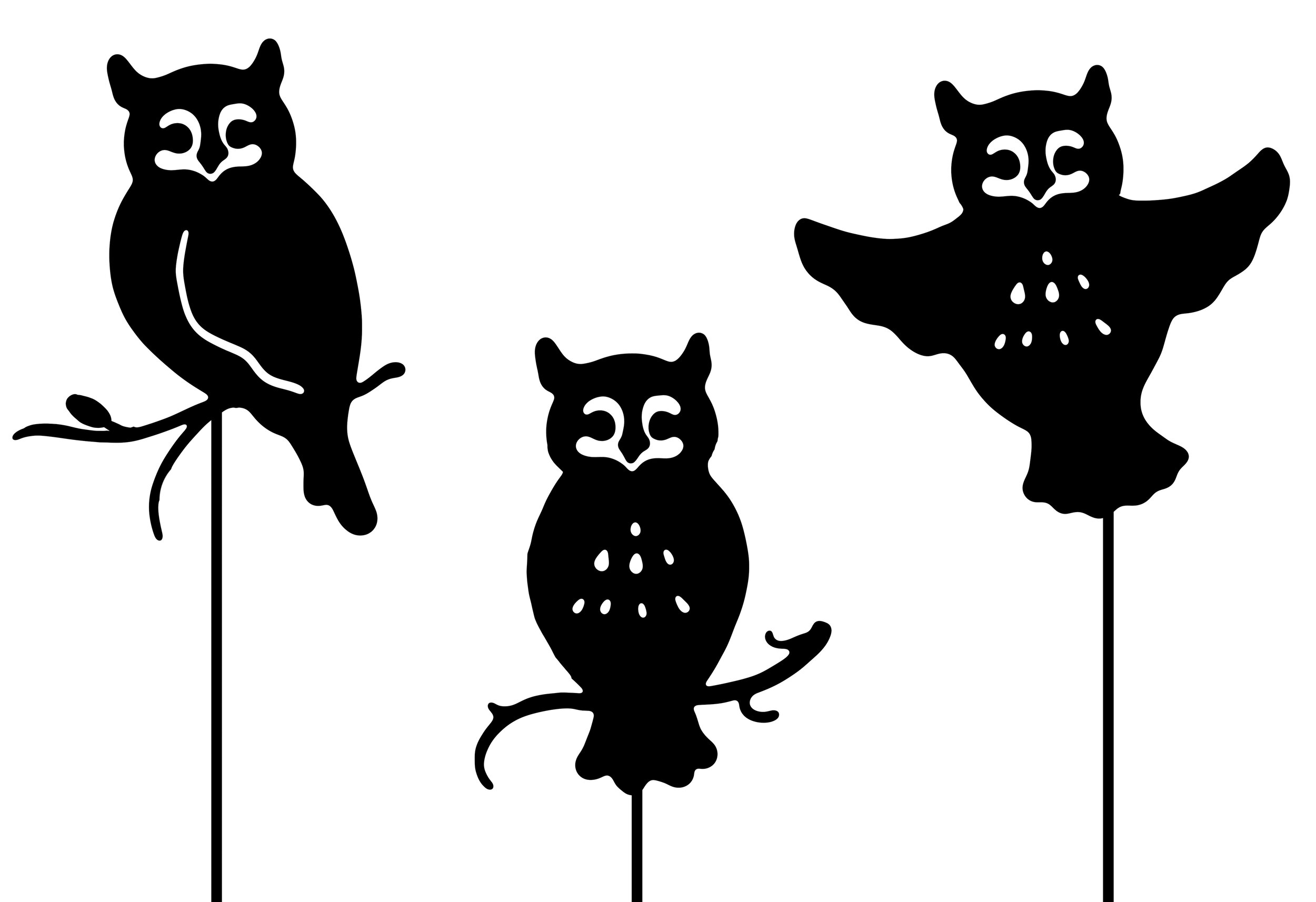 owls revision 1 copy.jpg