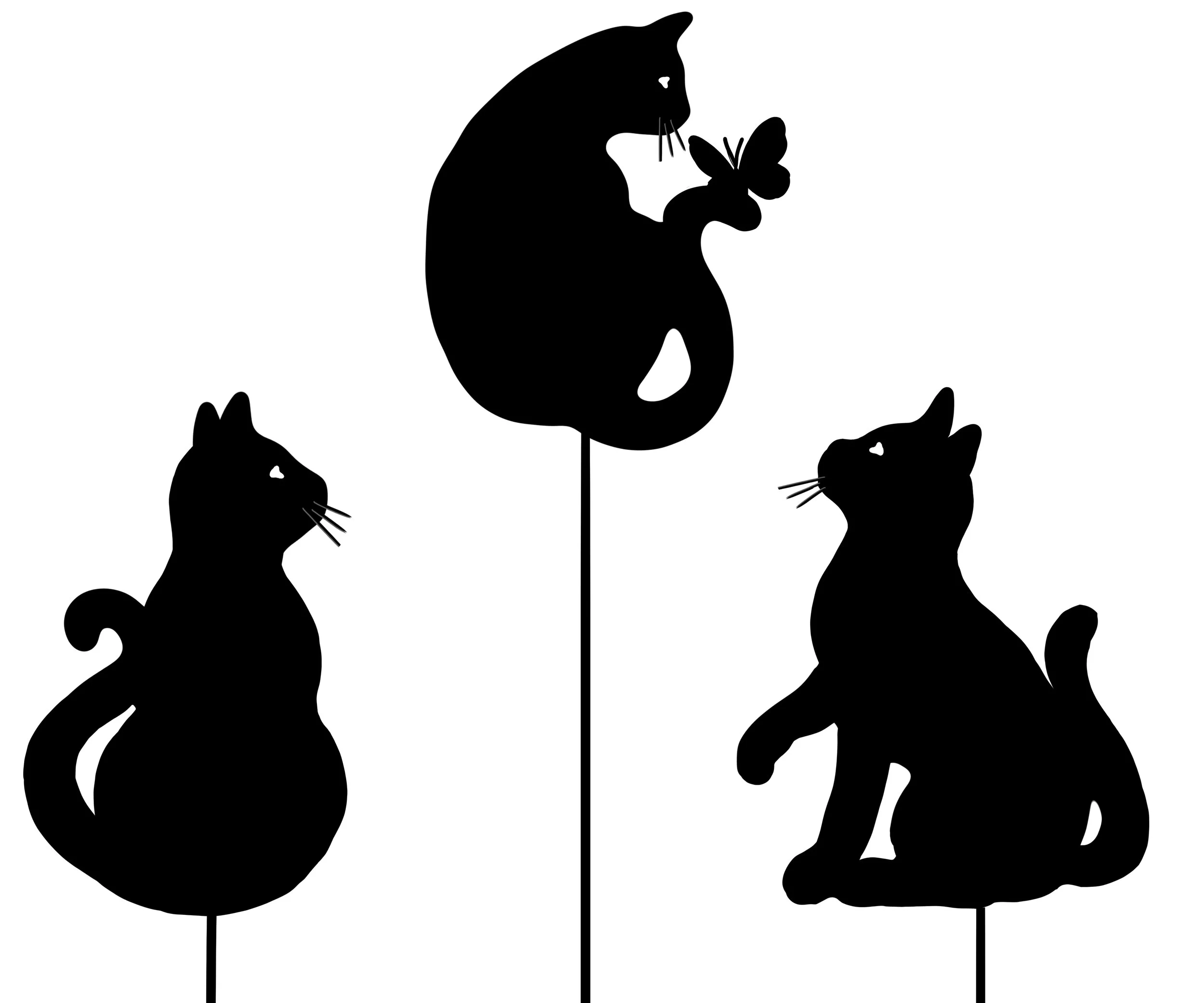 cats revision 1 copy.jpg