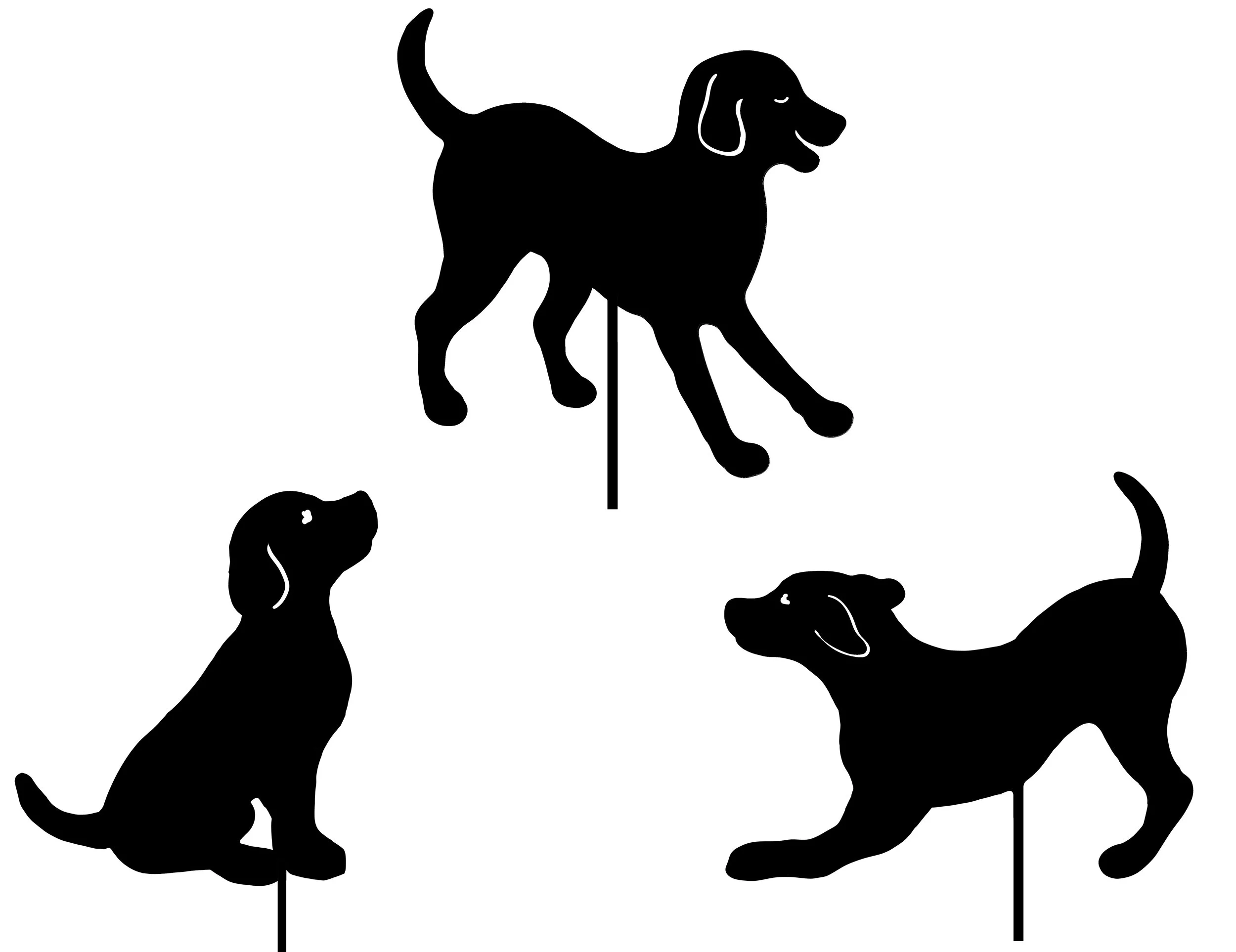 dogs revision 1 copy.jpg