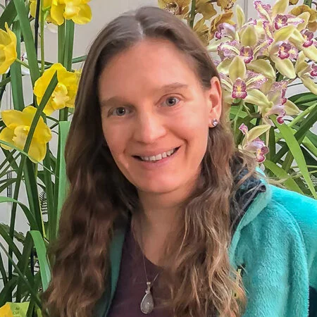 Finding the “right light”: growing areas and the art of orchid placement