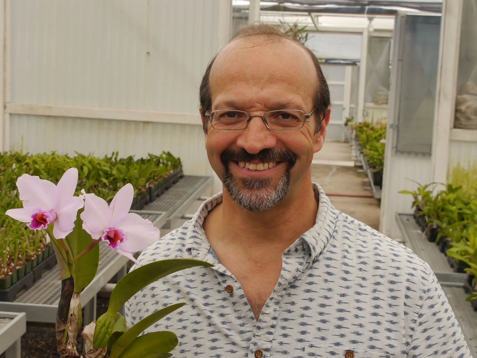 Life on the Rocks: The World of Rupicolous Orchids (about orchids that grow lithophytically, focusing on Brazil)