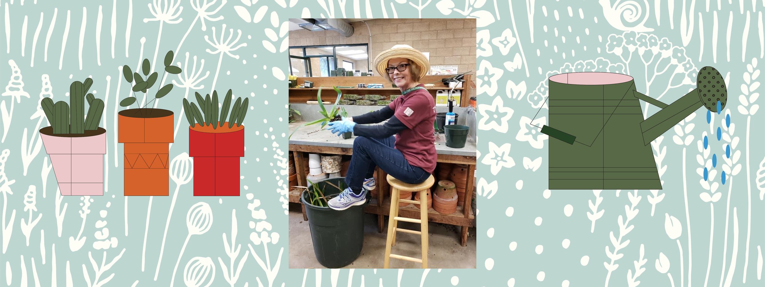 FCOS ORCHID TALKS: Gayle Brodie, "Thinking Outside the Pot"