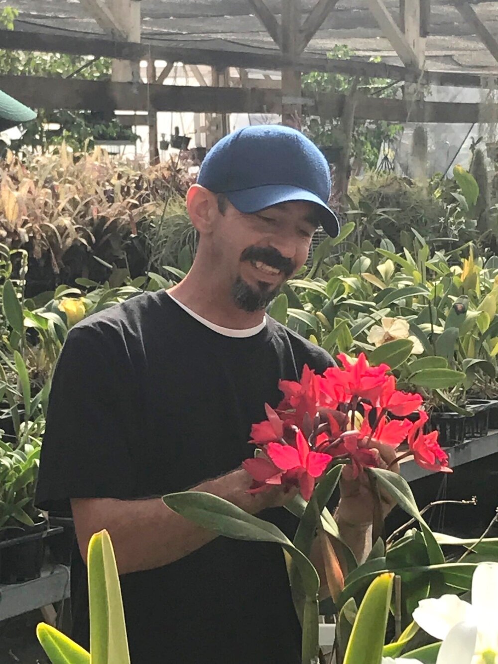 Field Trip - Ambriz Kingdom of Plants