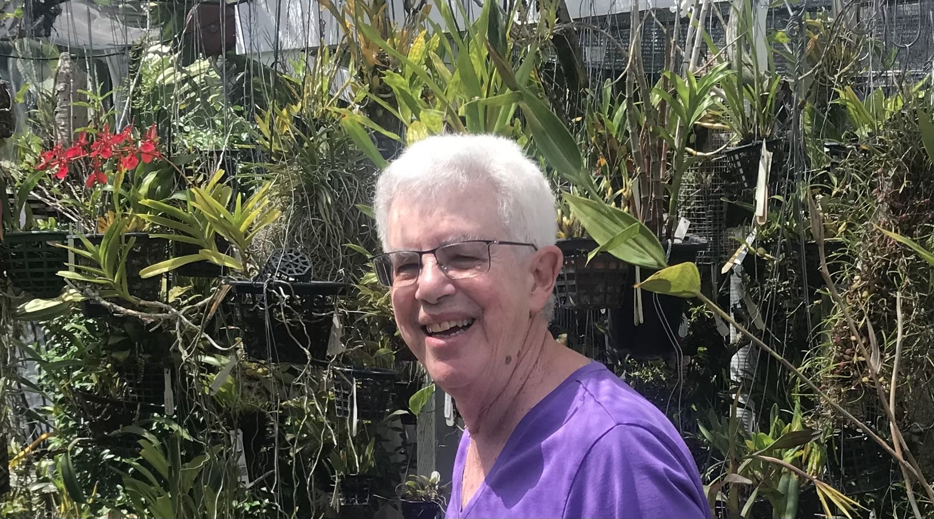 Outdoor orchid growing in California
