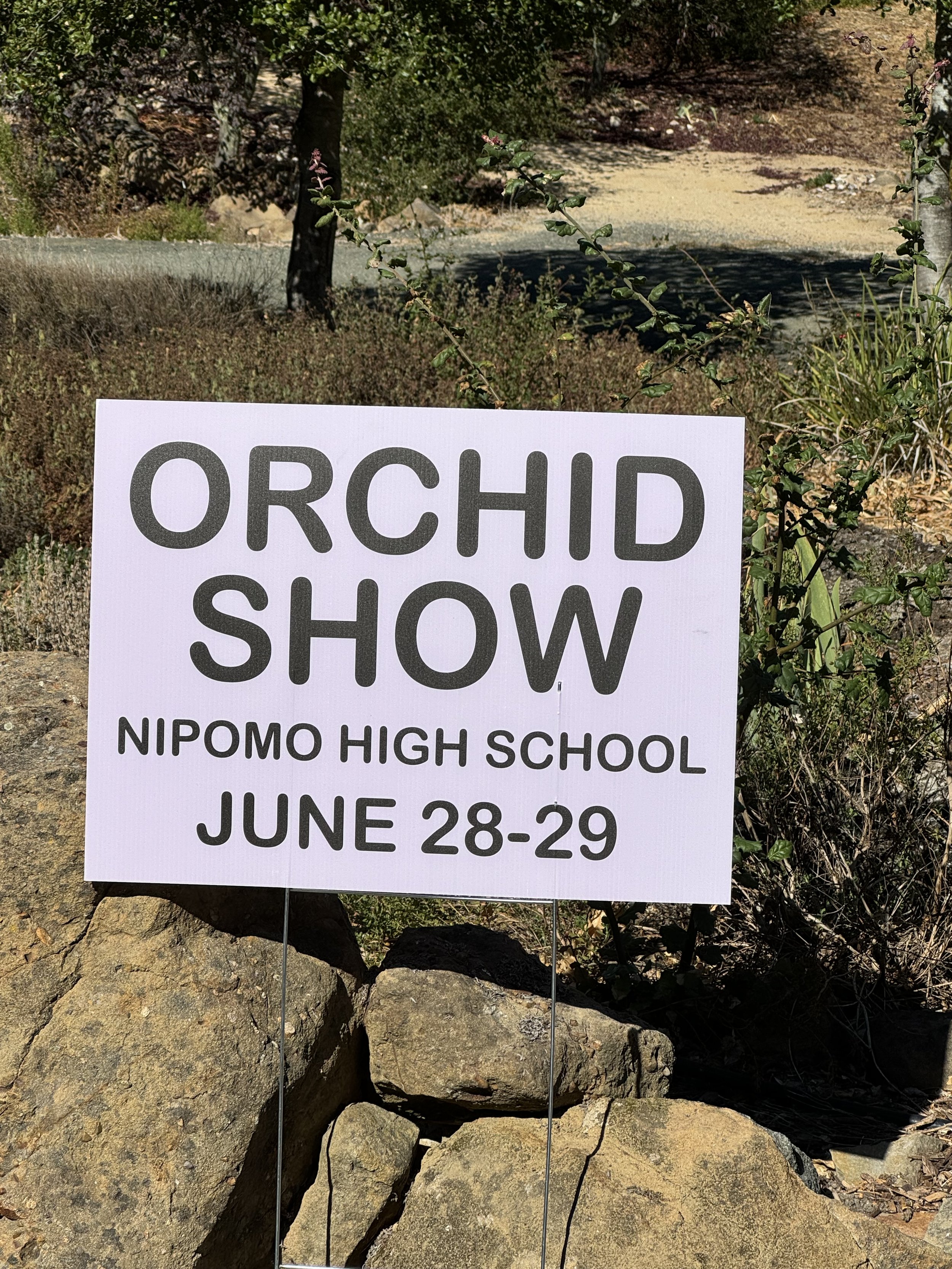 OrchidFest 2025