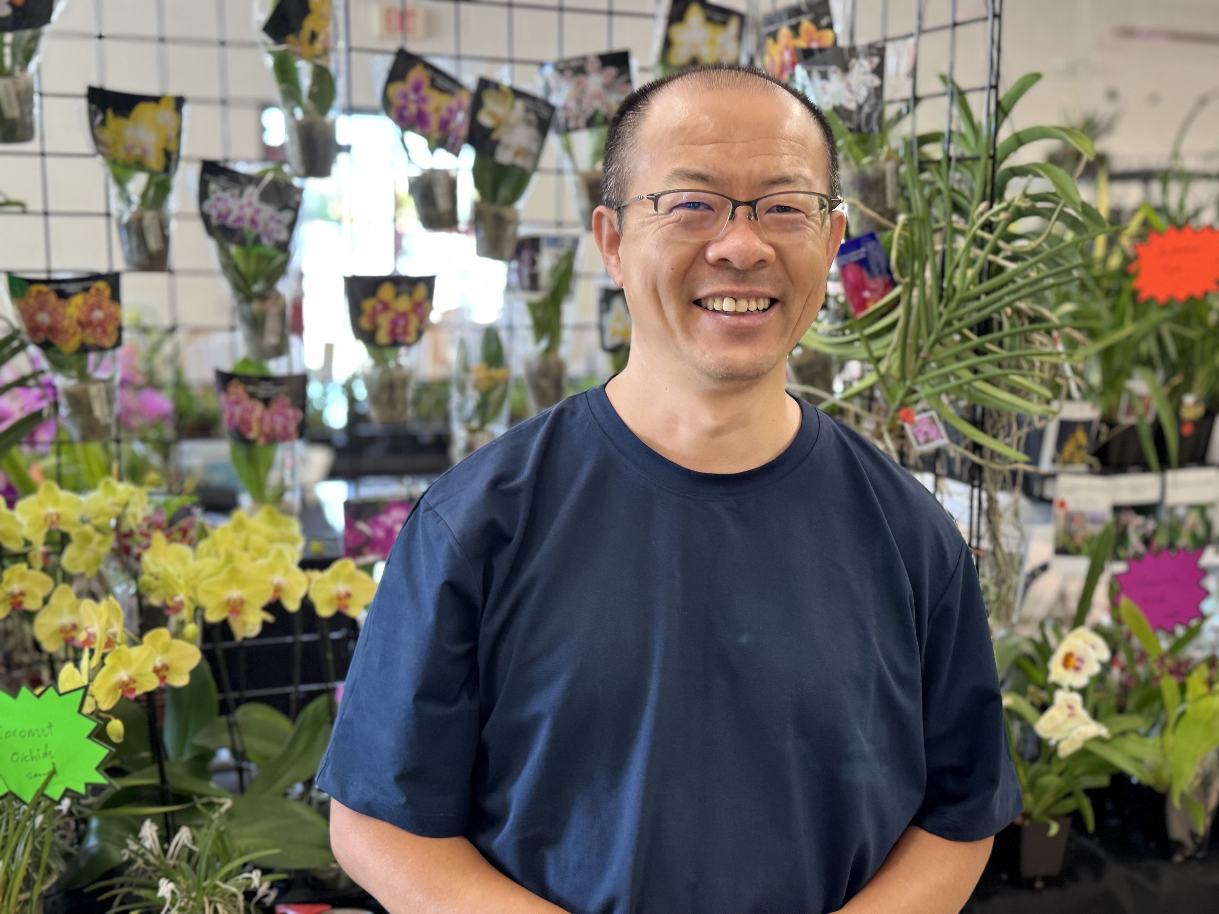 Jack Zhu - Asian Cymbidiums