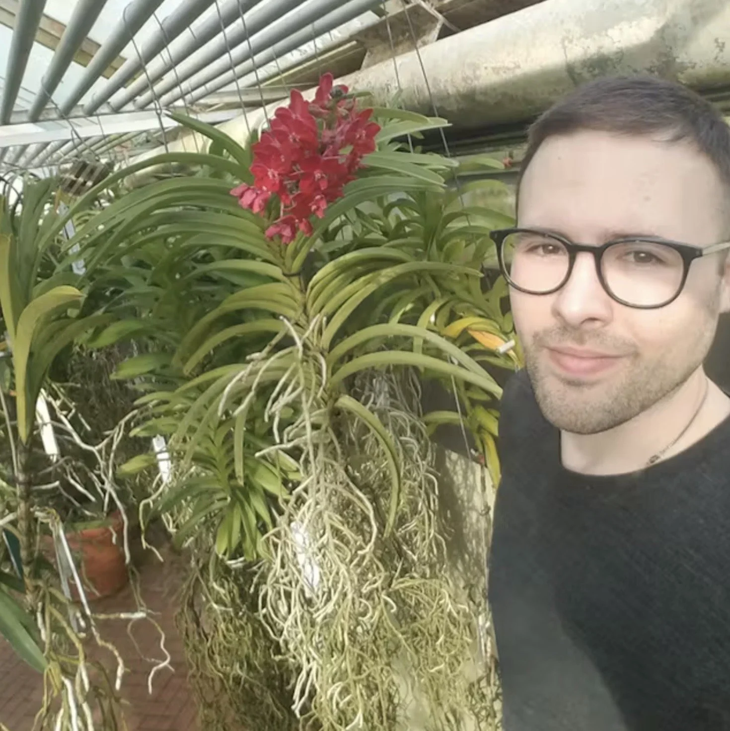 Explaining Why Orchids Do What They Do