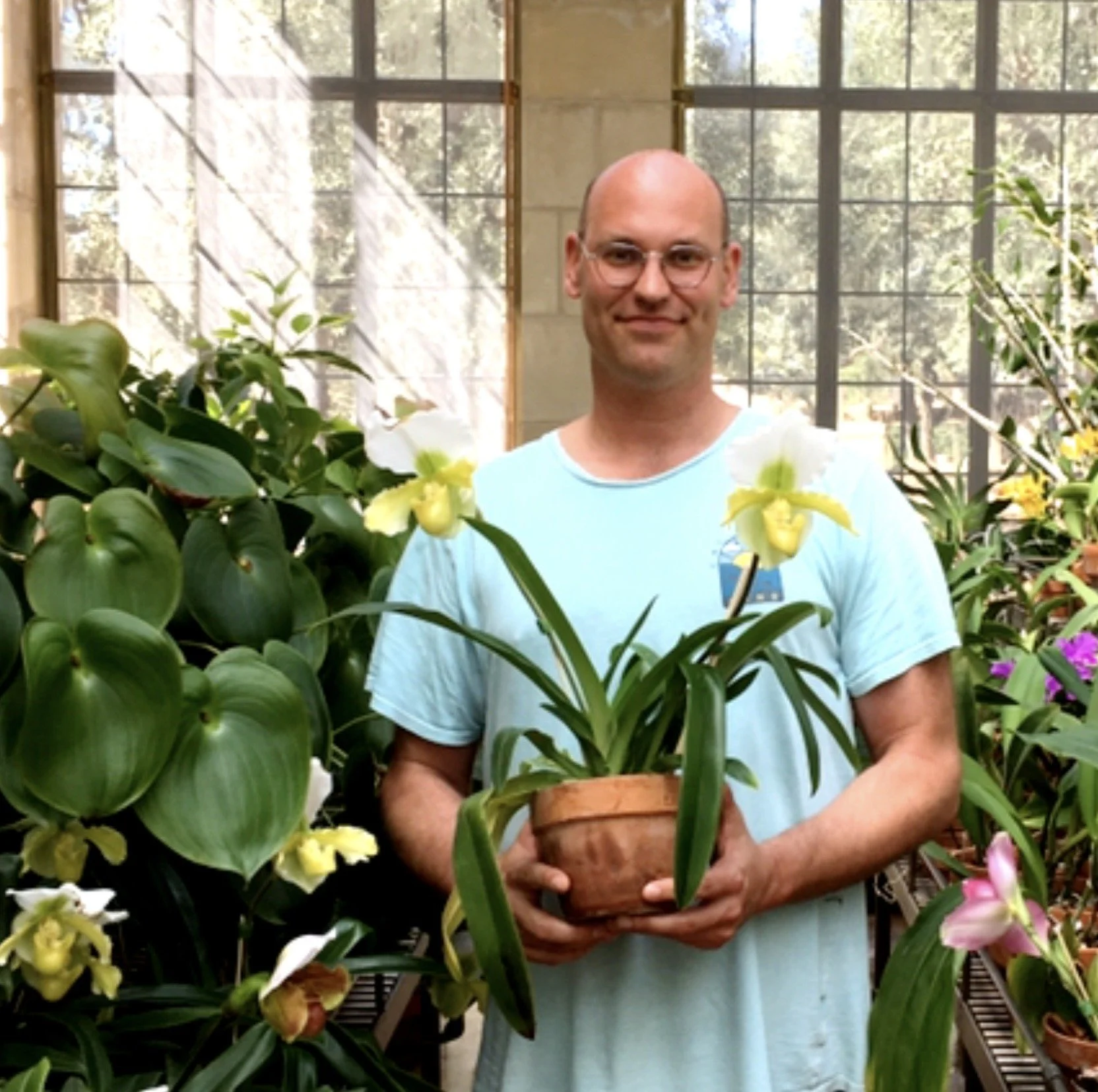 Amazing Soft-Leaved  Orchids including Pescatorea, Cochleanthes, Bollea, and Huntleya