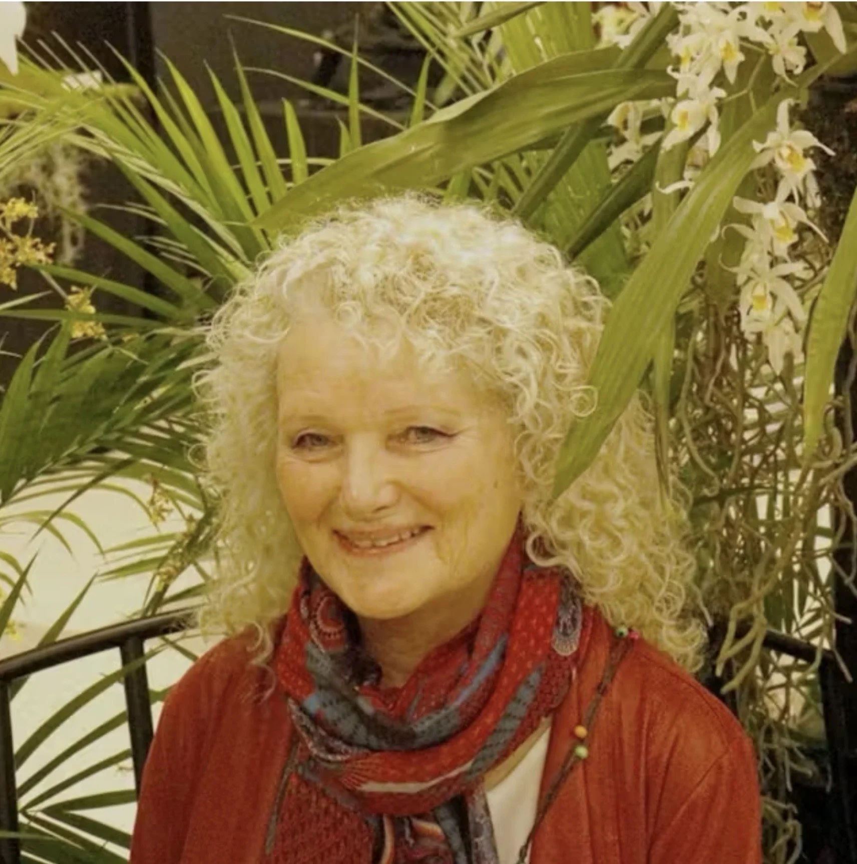 Sobralias-The Exotic Ephemerals