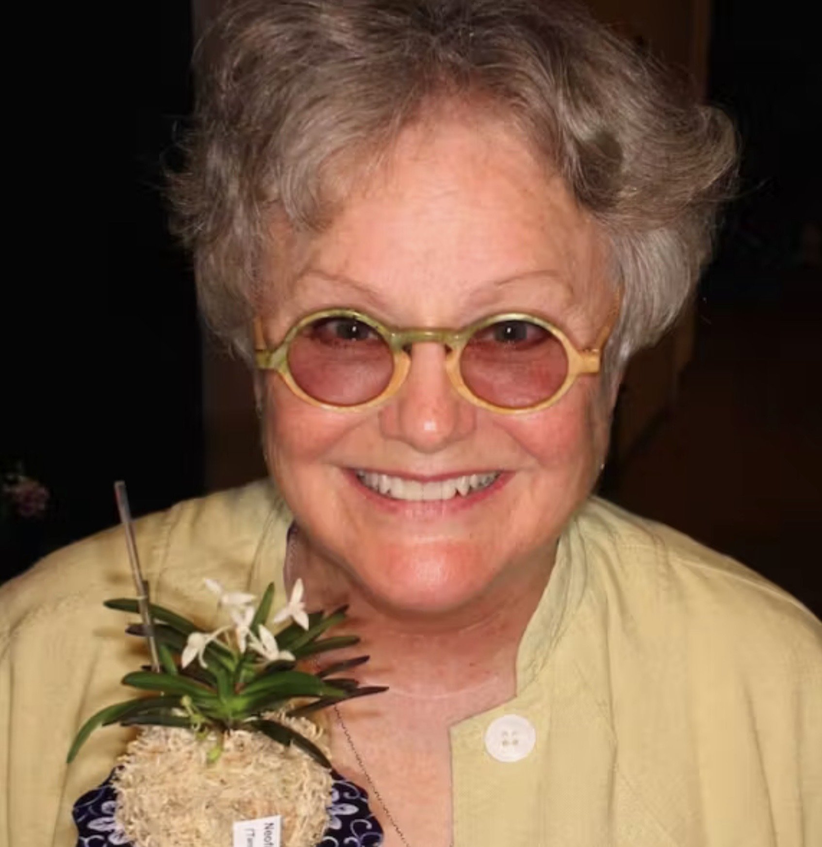 Lycaste history, species and modern hybrids