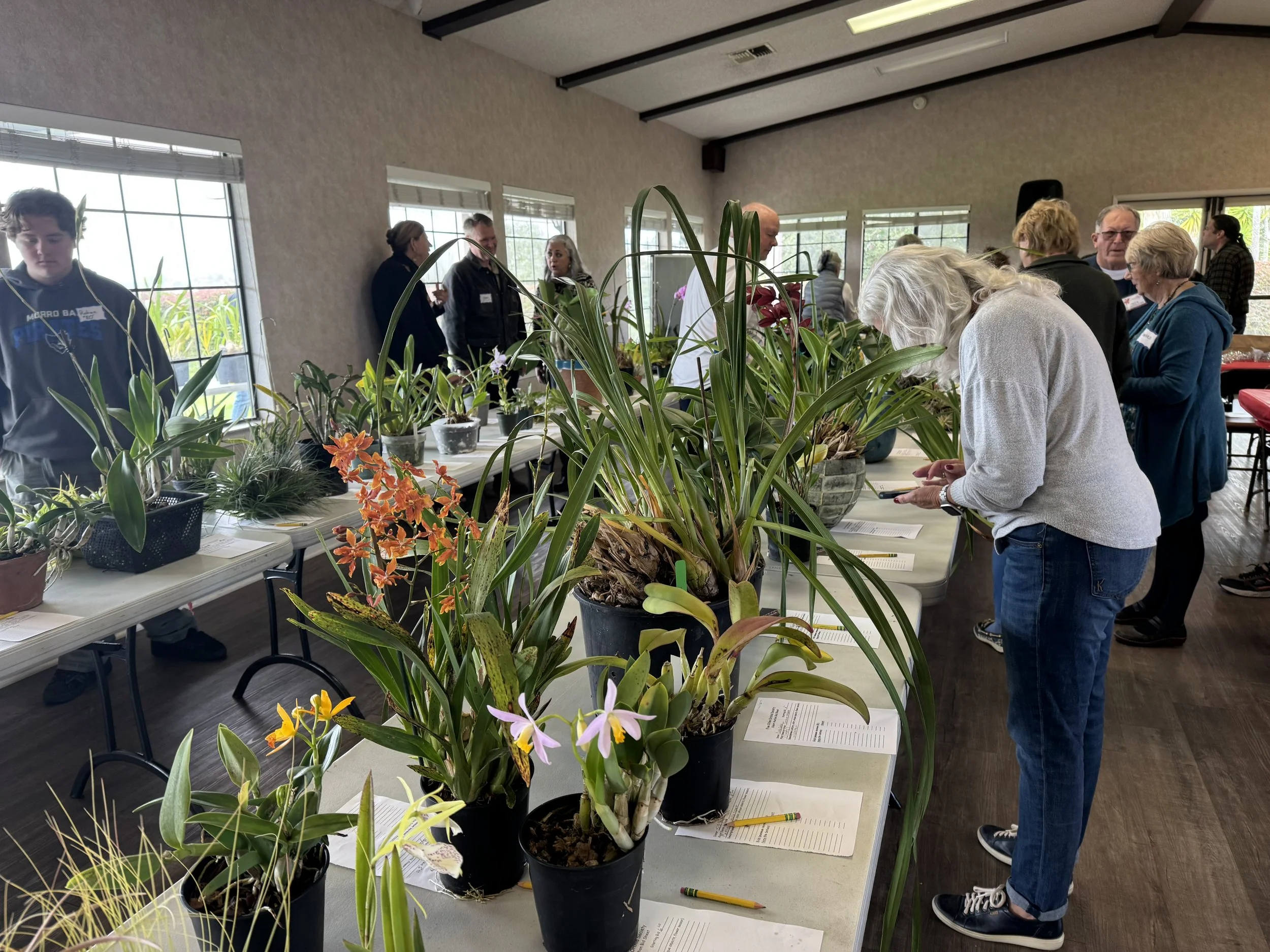 Summer BBQ at Toucan Terrace