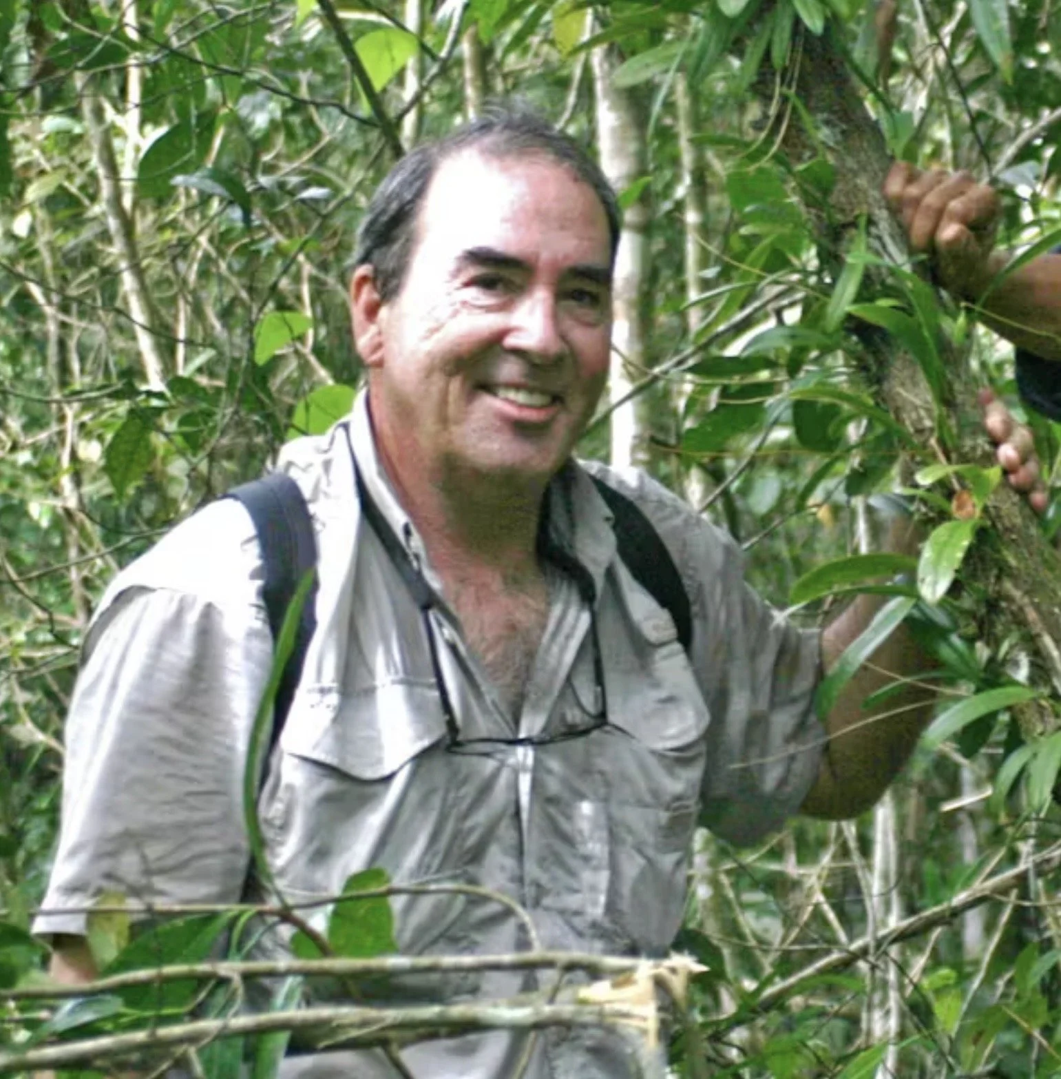 Bulbophyllum Culture By Bill Thoms