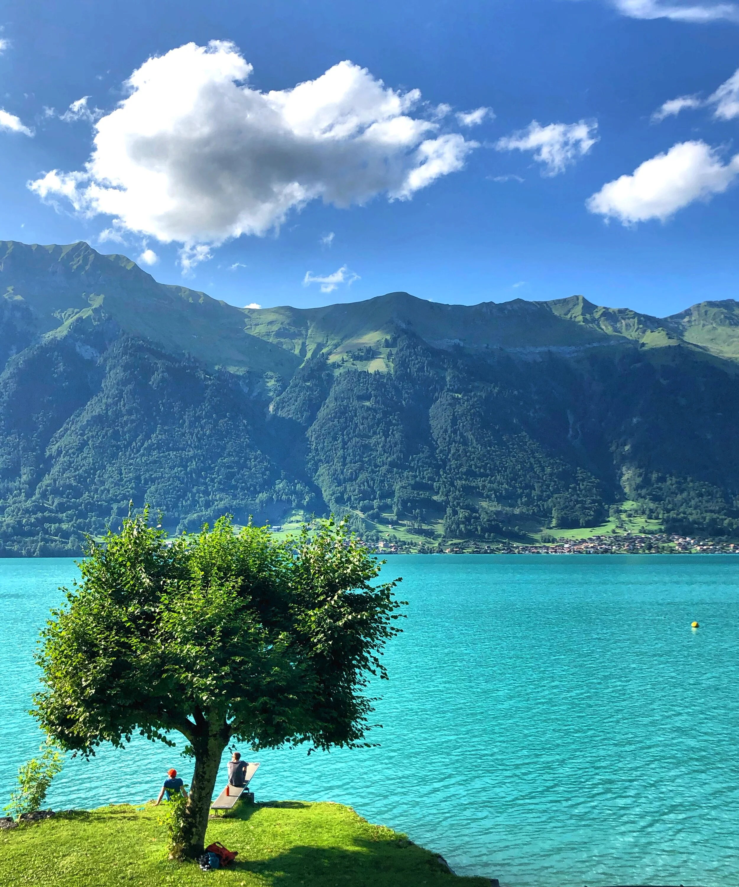 C495B2B9-43BE-4DA3-93B8-850BB9798484 2.JPG