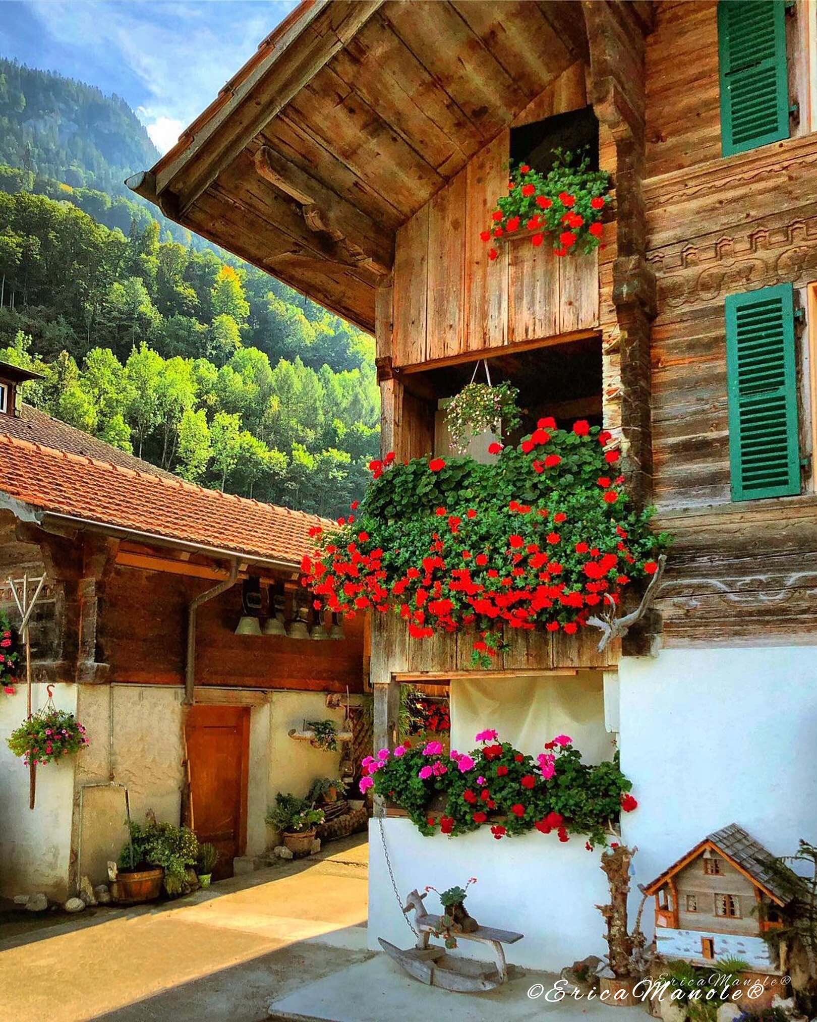 Chalet with flowers 