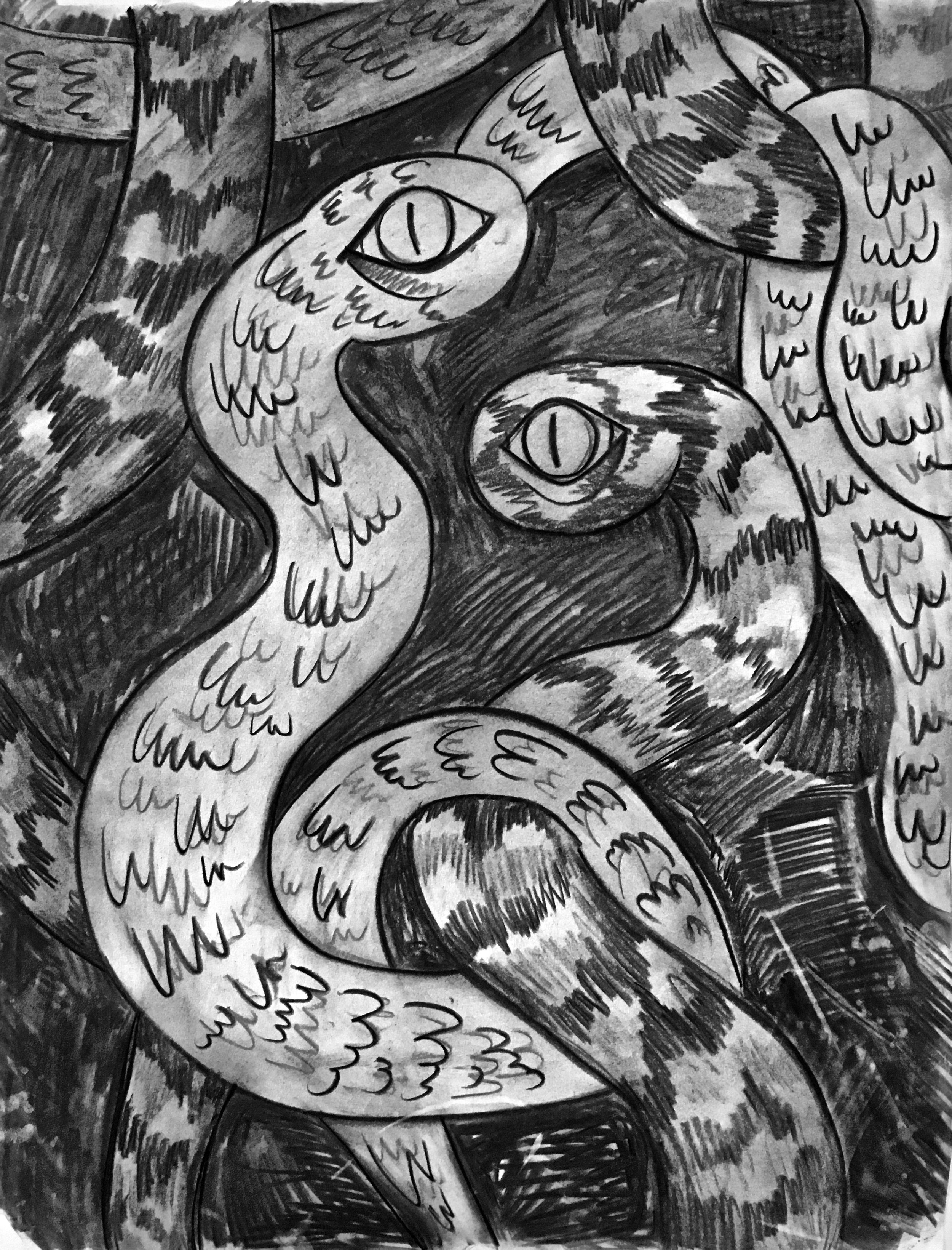  Snakes  2020  Charcoal on paper  24” x 18” 