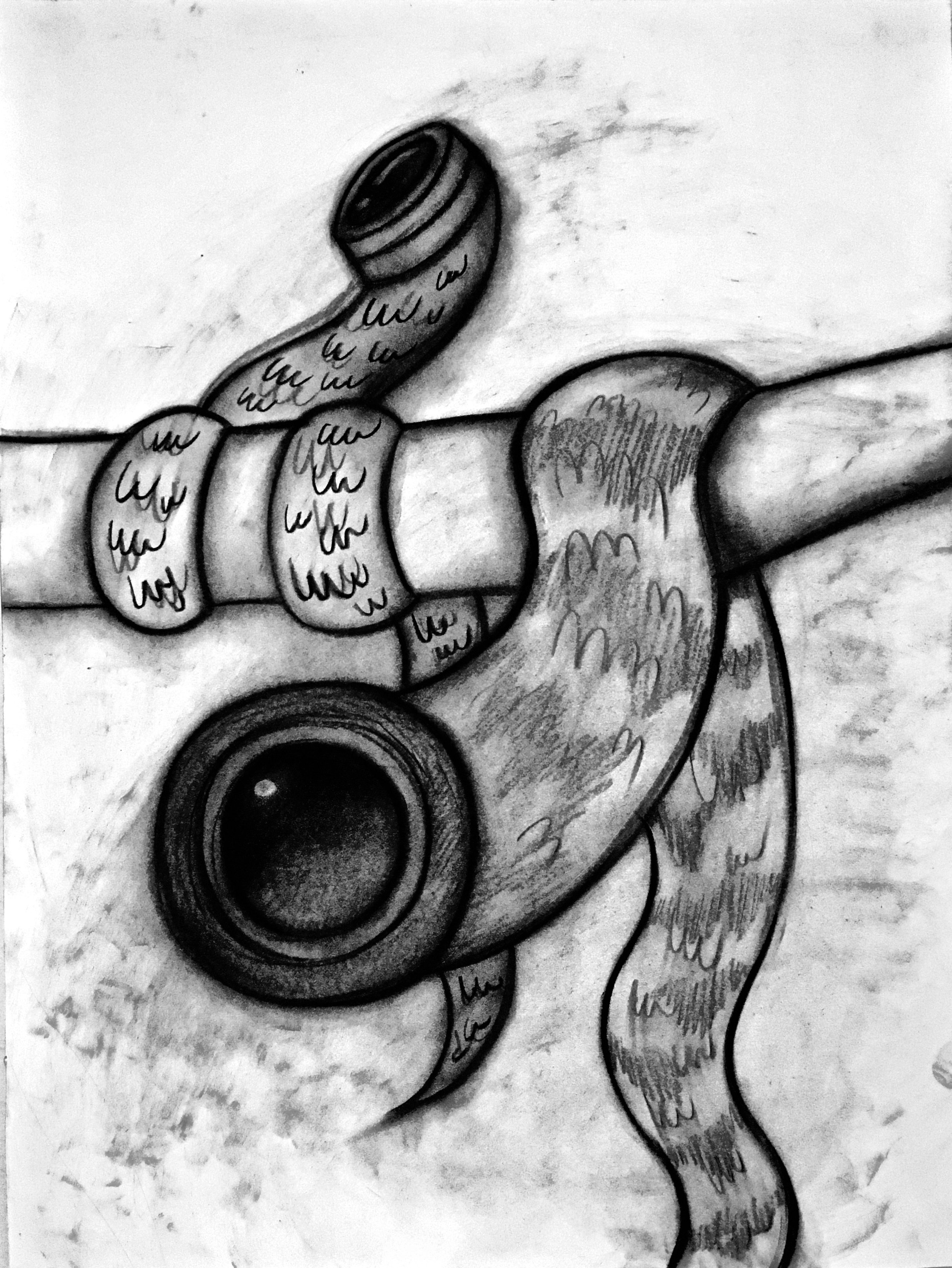  Surveillance Snakes II  2020  Charcoal on paper  24” x 18” 