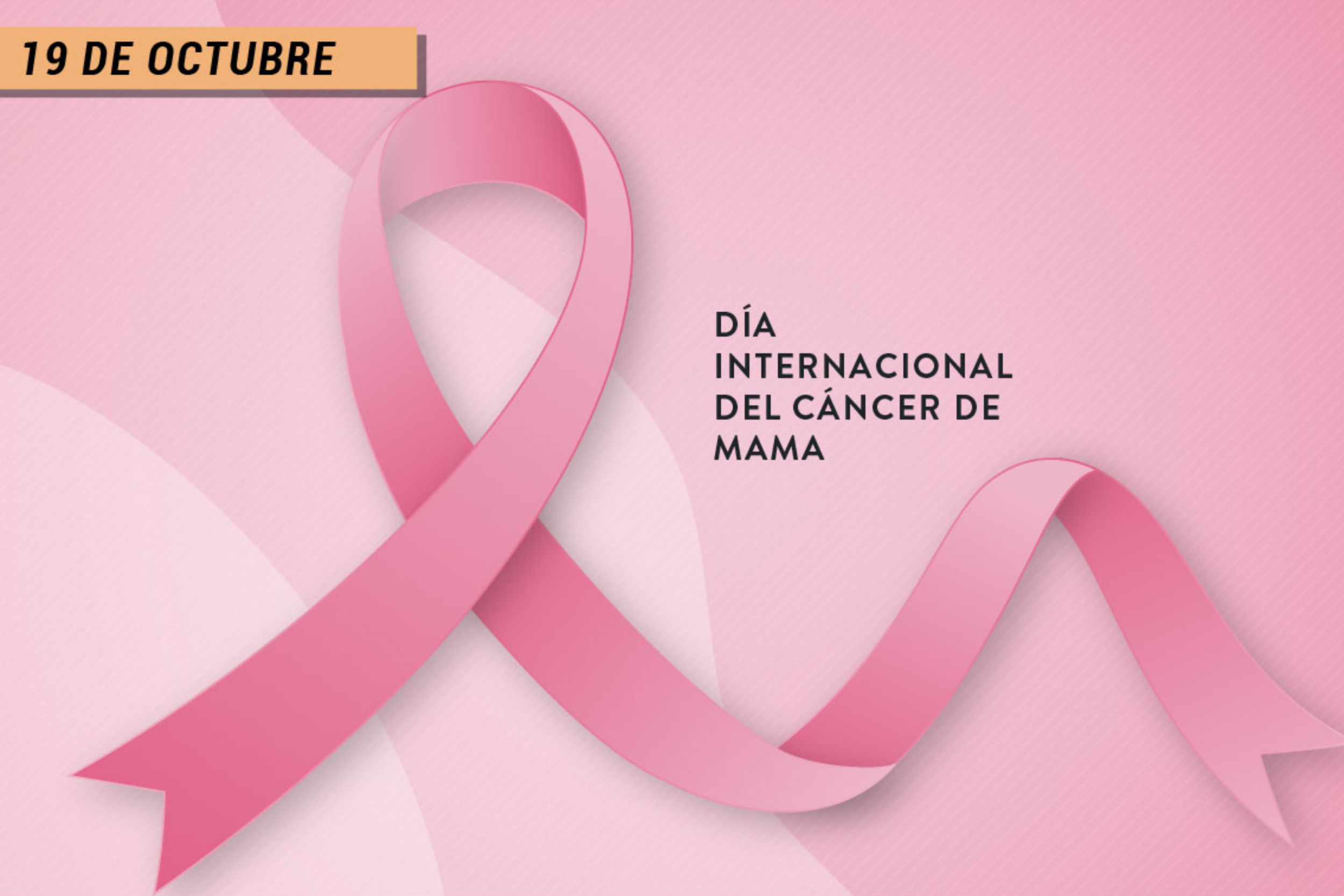 La mirada del Cine al Cáncer de Mama