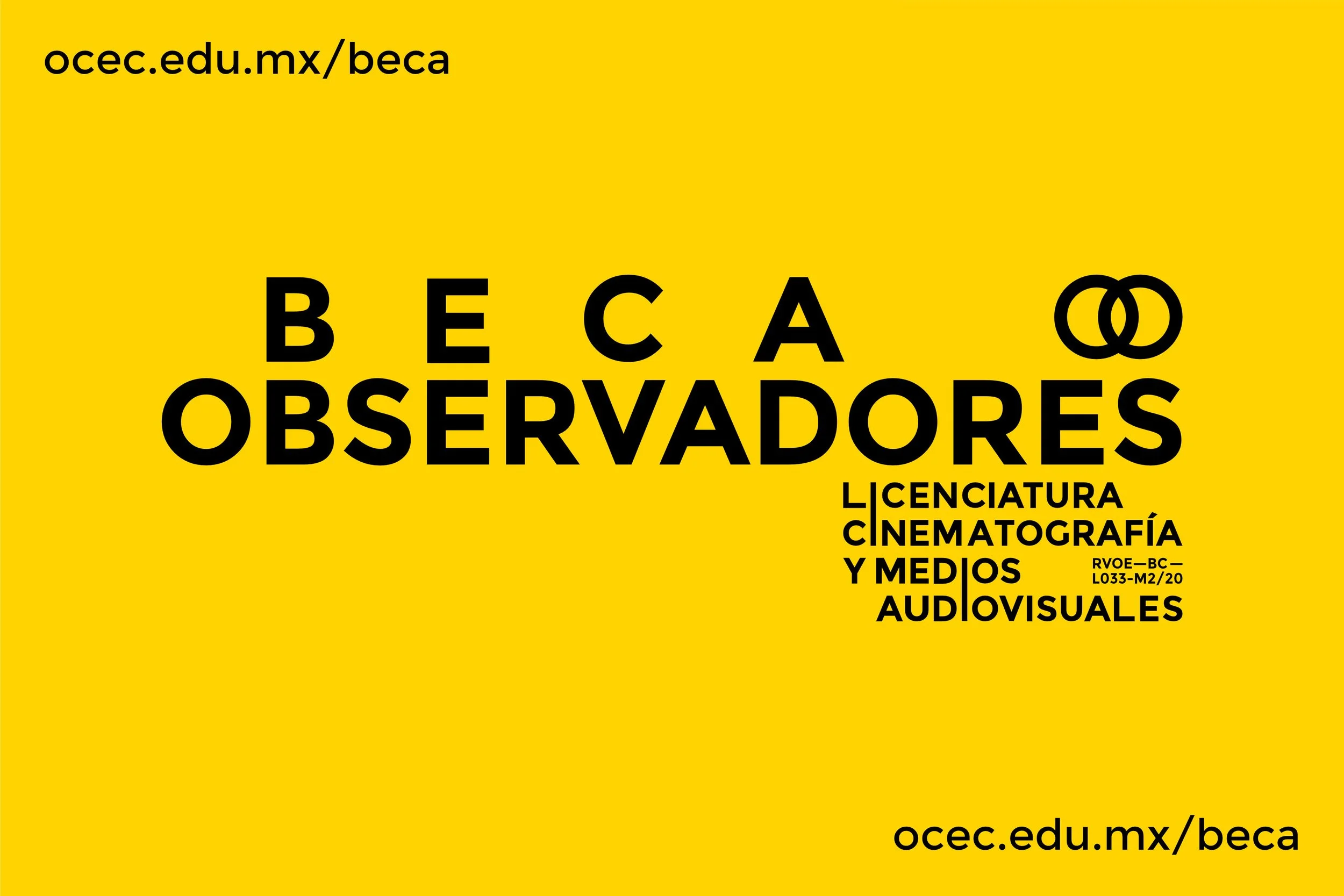 Convocatoria: Beca Observadores 2022