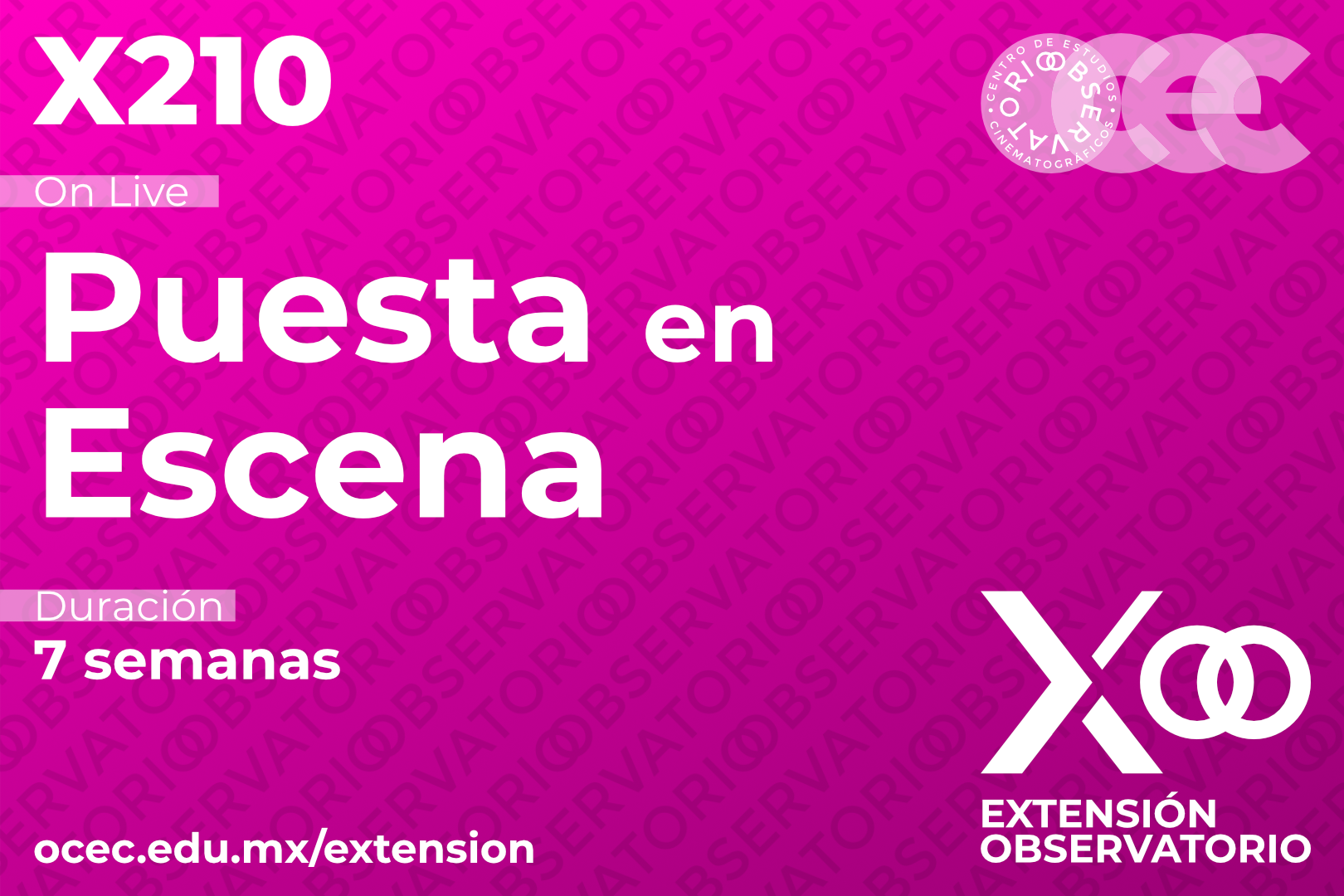 X210 - Puesta en Escena (En Línea)