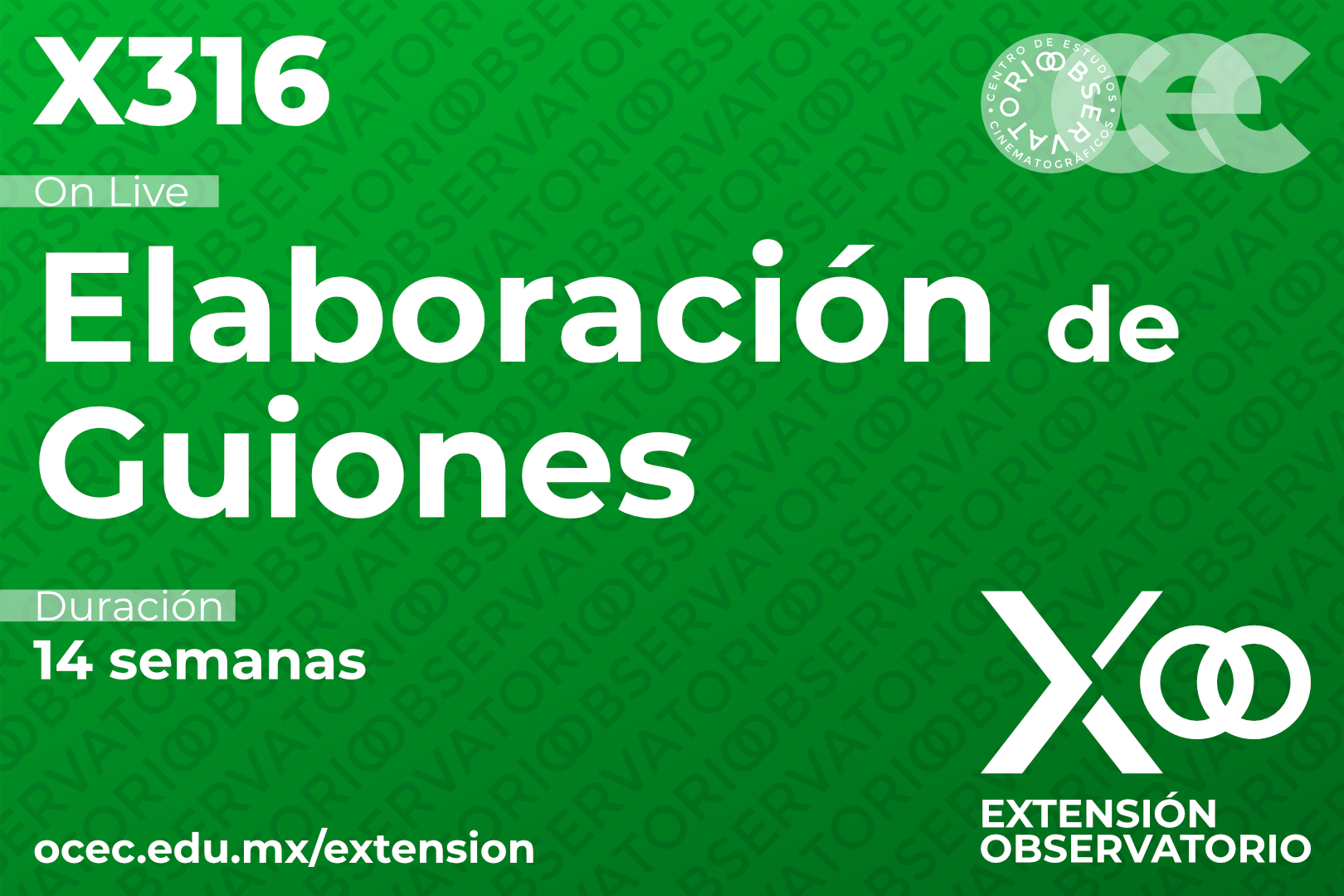 X316 - Elaboración de Guiones (En Línea)