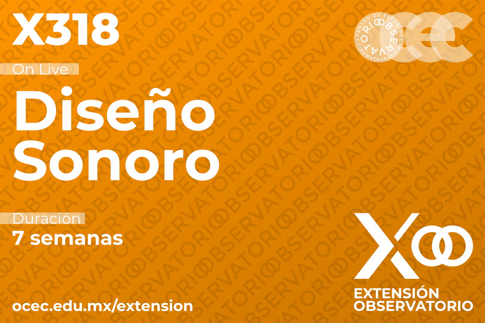 X318 - Diseño Sonoro (En Línea)