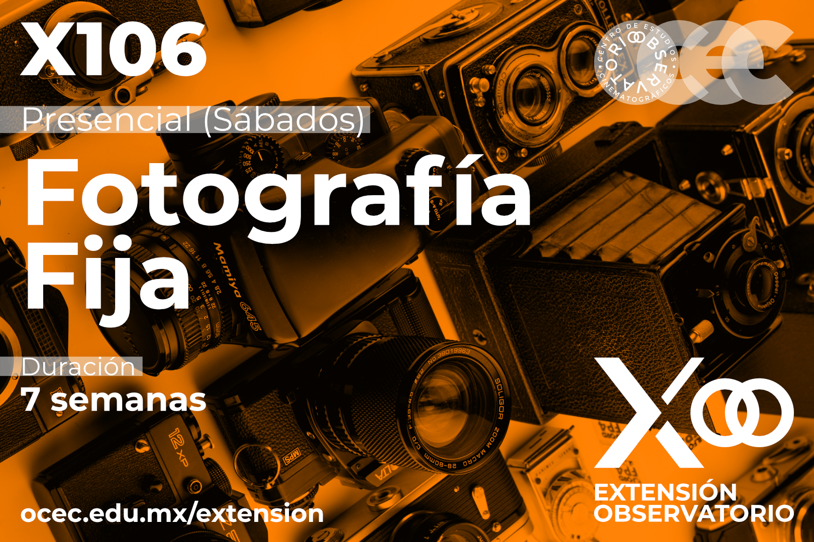 X106 - Fotografía Fija (Presencial) 