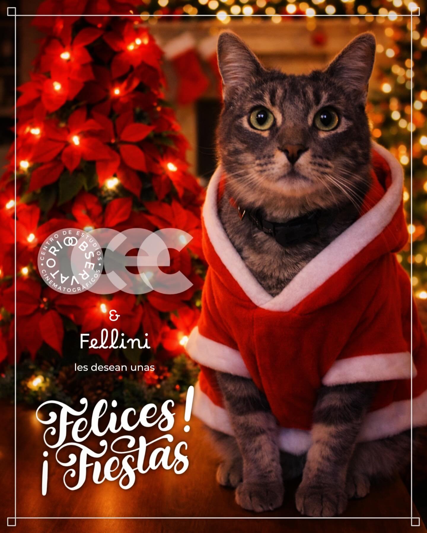 &iexcl;Felices fiestas! 🎄