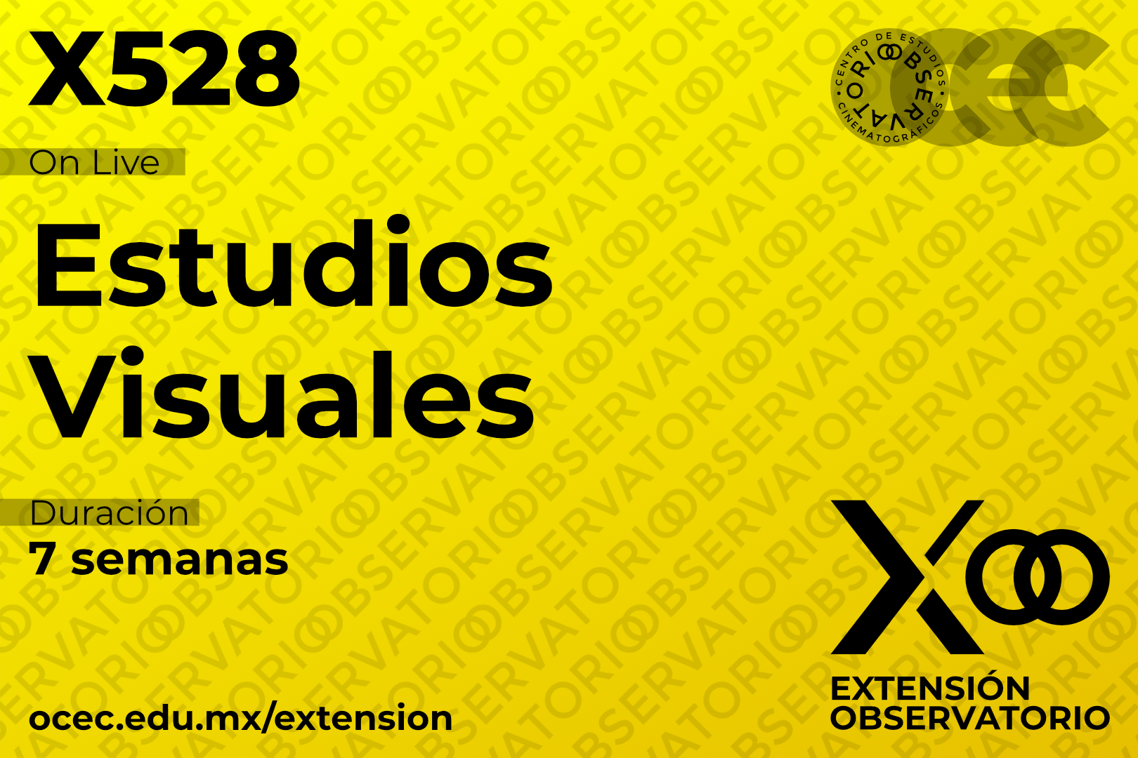 X528 - Estudios Visuales