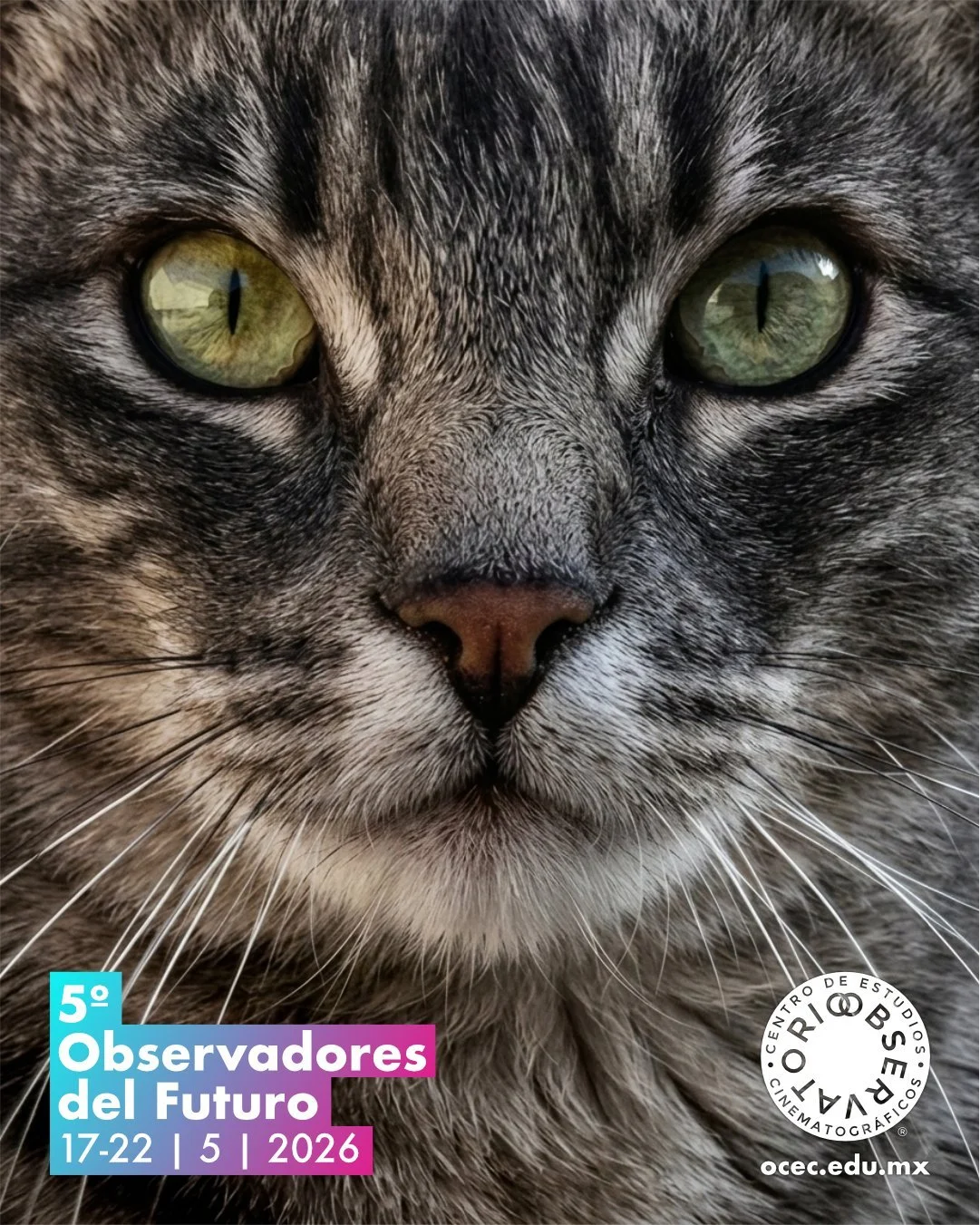 &iexcl;Convocatoria Abierta!

5&ordm; Concurso de Cortometrajes Observadores del Futuro

Te invitamos a participar en nuestro concurso de cortometrajes dirigido por estudiantes de preparatoria y universidad. 

&iexcl;La convocatoria est&aacute; abier