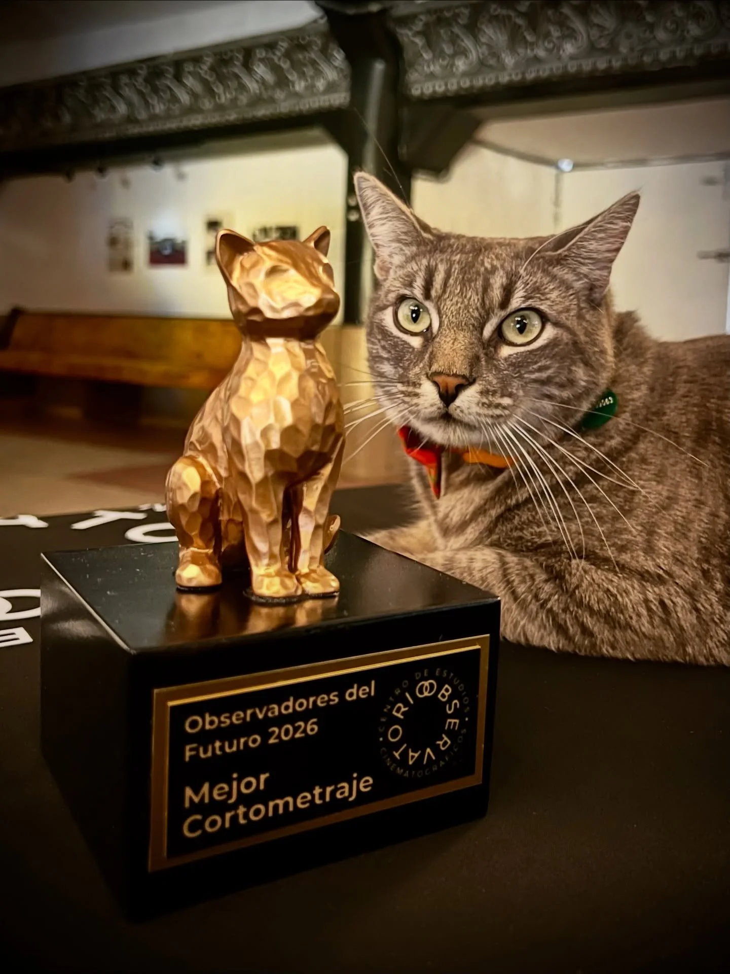 Fellini ya est&aacute; listo para la premiaci&oacute;n de Observadores del Futuro 2026.