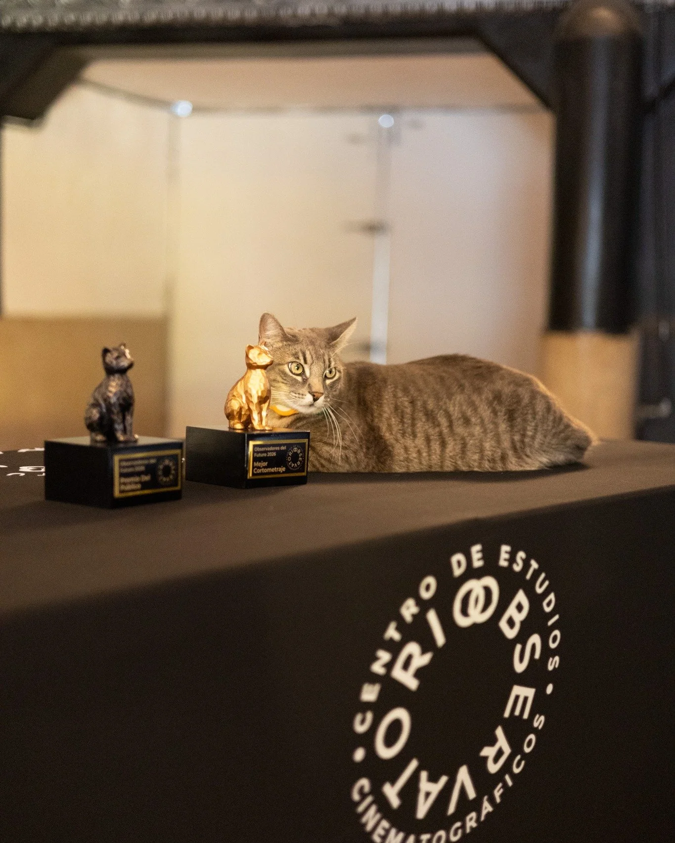 Recap de la premiaci&oacute;n de Observadores del Futuro 2026 🎬✨